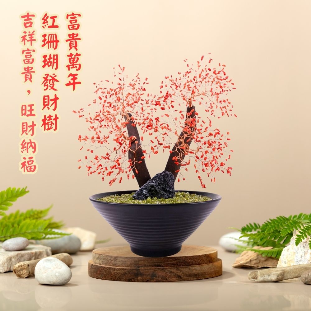 發財樹　縁起物　本珊瑚　重さ約340g 送料込み250814 富貴萬年紅珊瑚發財樹