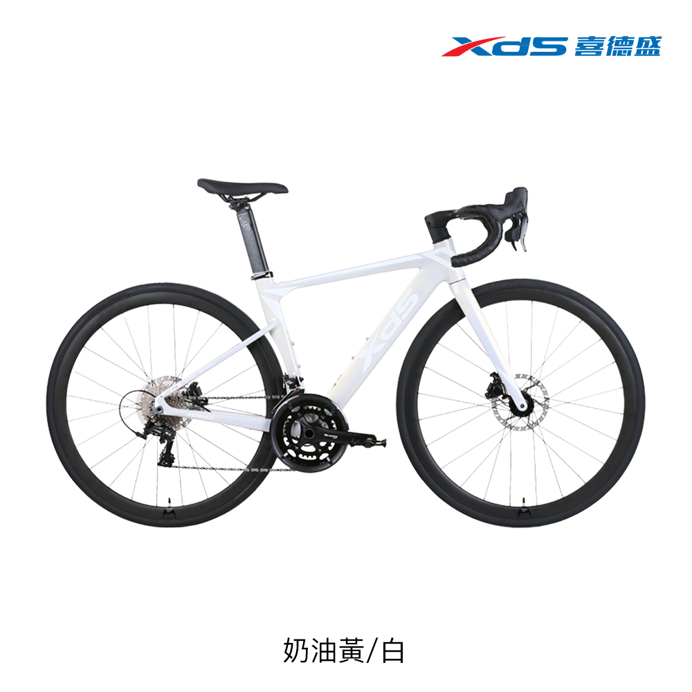 XDS喜德盛】AD350 LTWOO油壓碟煞20速公路車