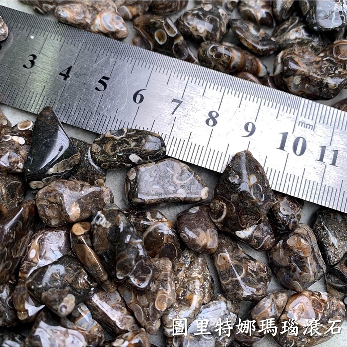 圖里特娜瑪瑙滾石(Agate Turritella) ~土元素，療癒地球母親，穩定氣場