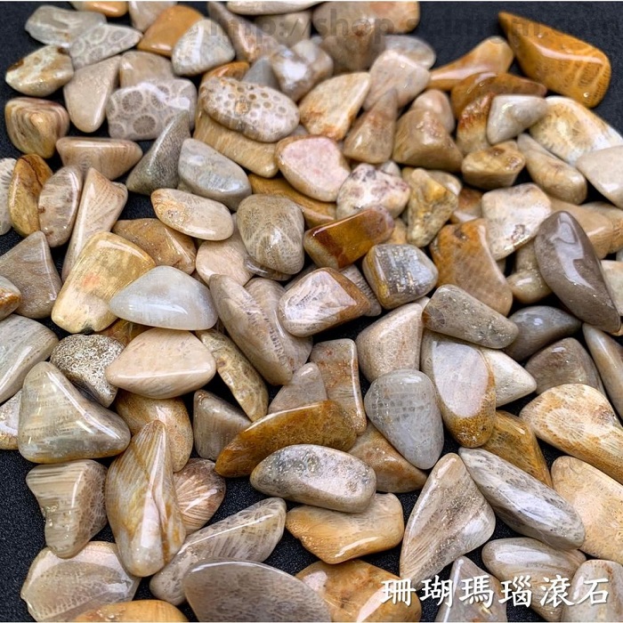 珊瑚瑪瑙滾石(Agatized Coral) ~幫助團體的和諧合作，展現自己能力與魅力。