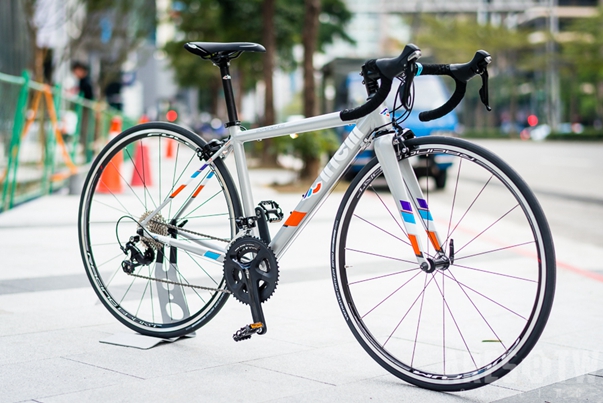 Cinelli Experience Speciale Cinelli Experience Frameset Sigma Sports