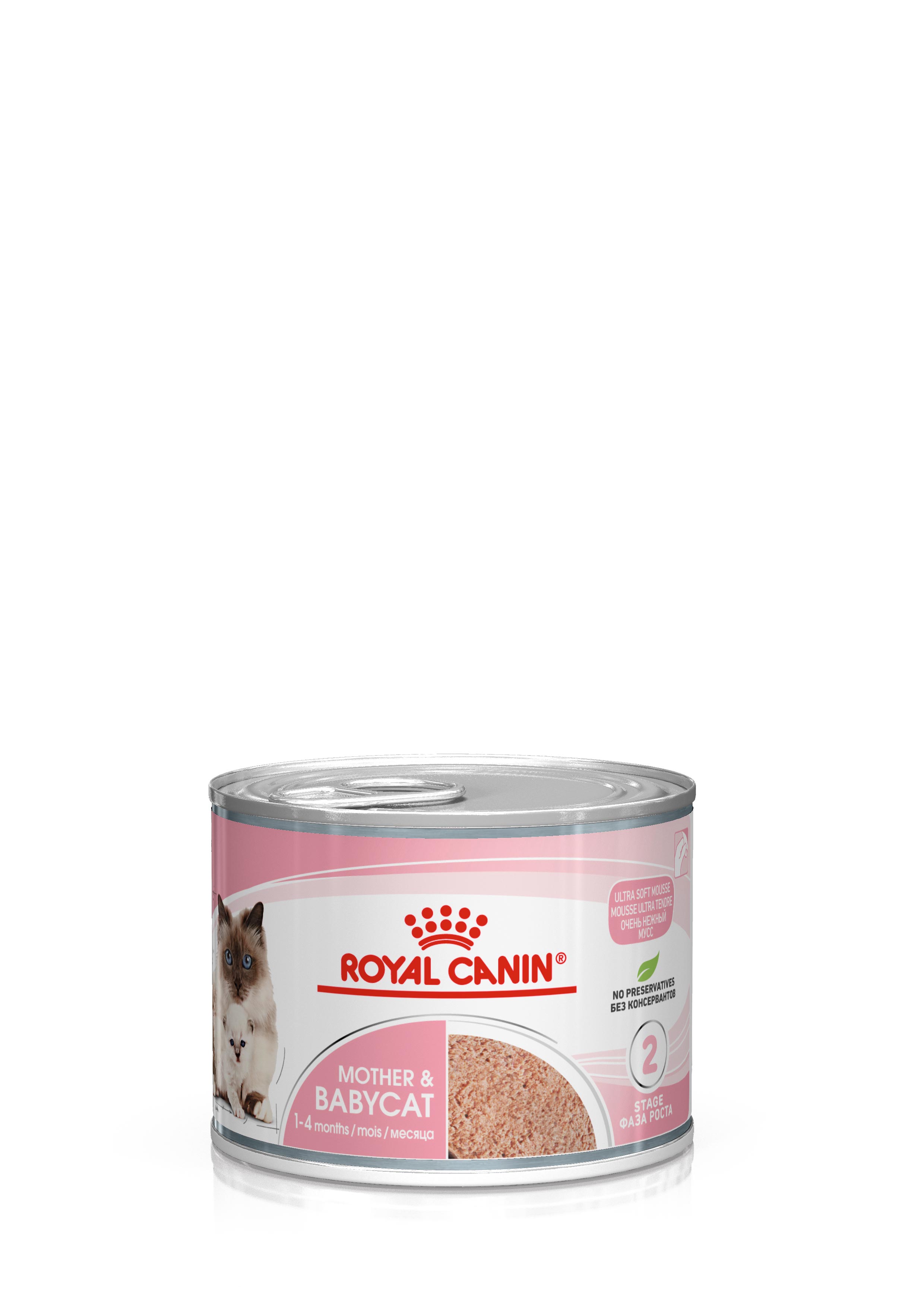 詩「糧」 貓食ROYAL CANIN 皇家- Purrmaster 絵画