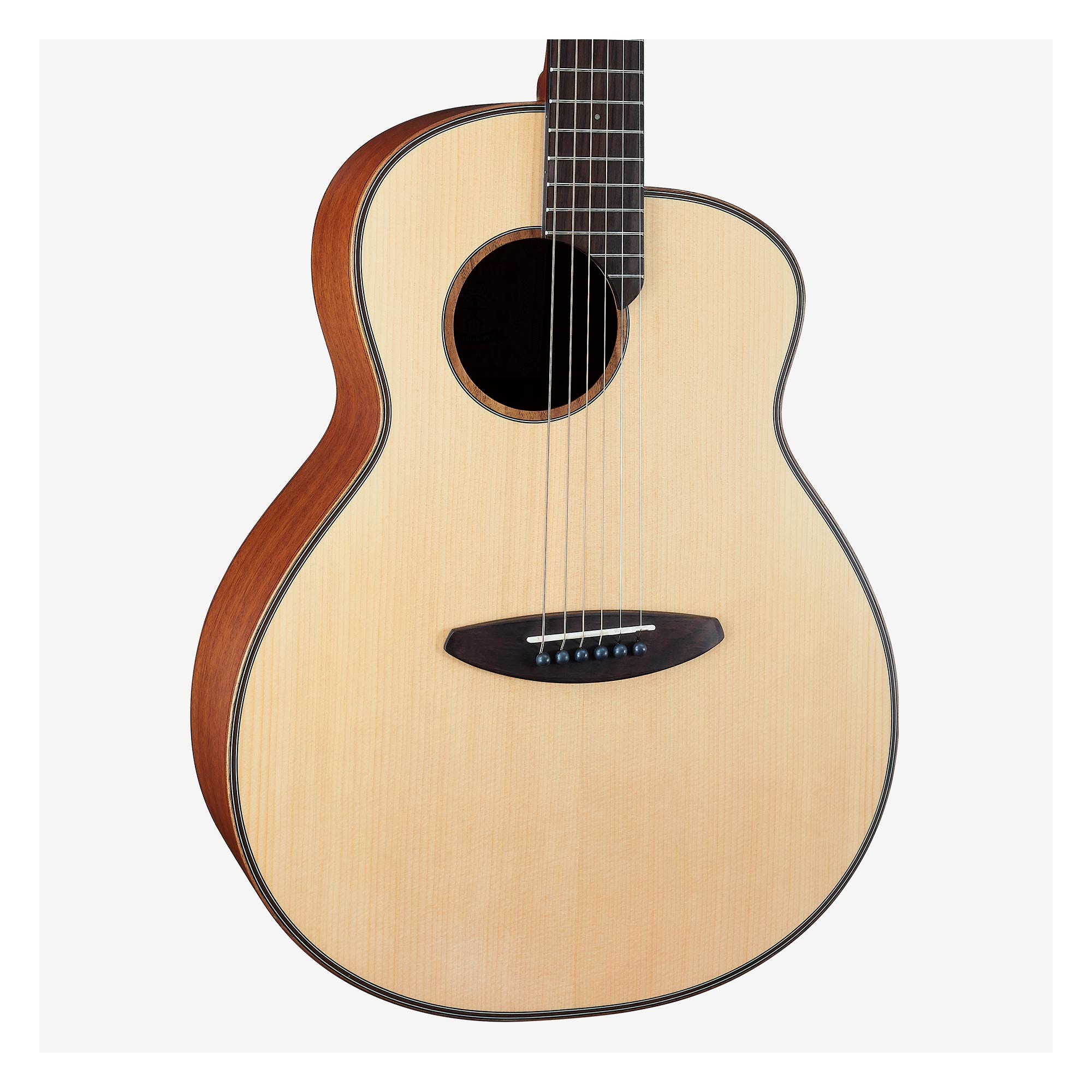 aNueNue L10E Feather Bird-41吋民謠吉他