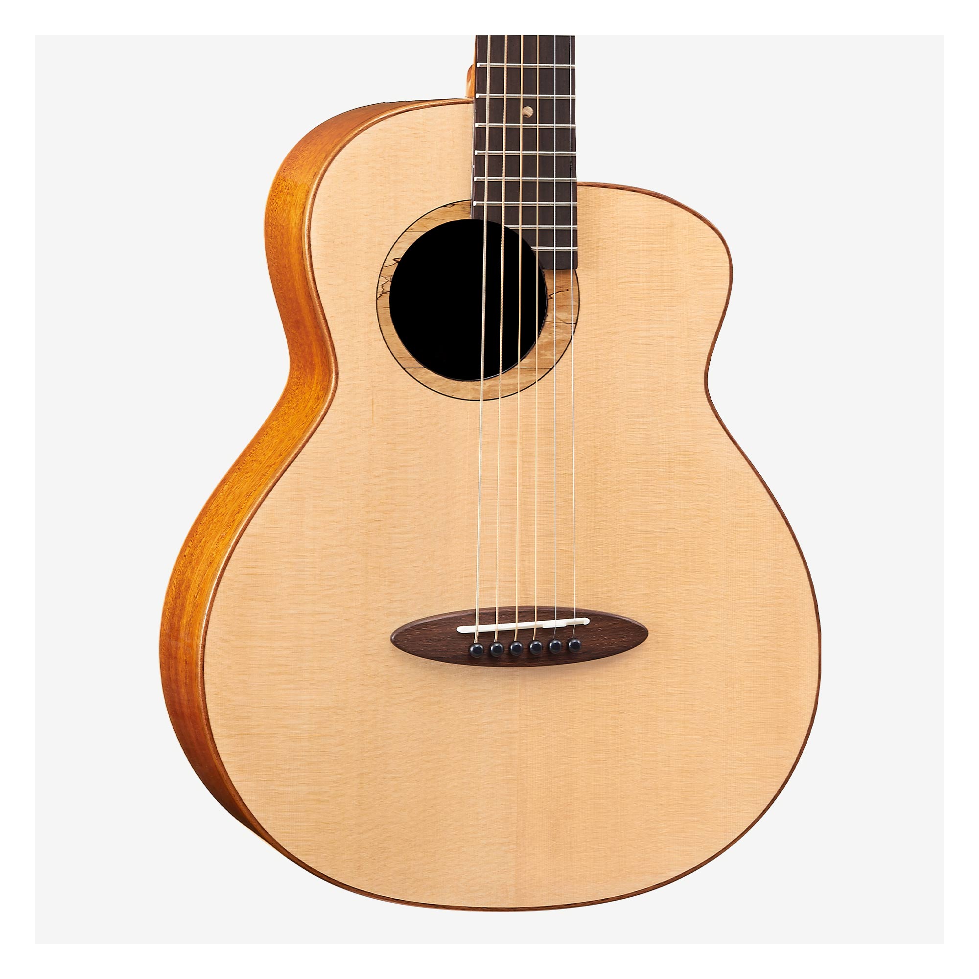 ☆aNueNue Bird Guitar aNN-M100E　美品☆ aNueNue Bird aNN-M100|ドルフィンギターズ