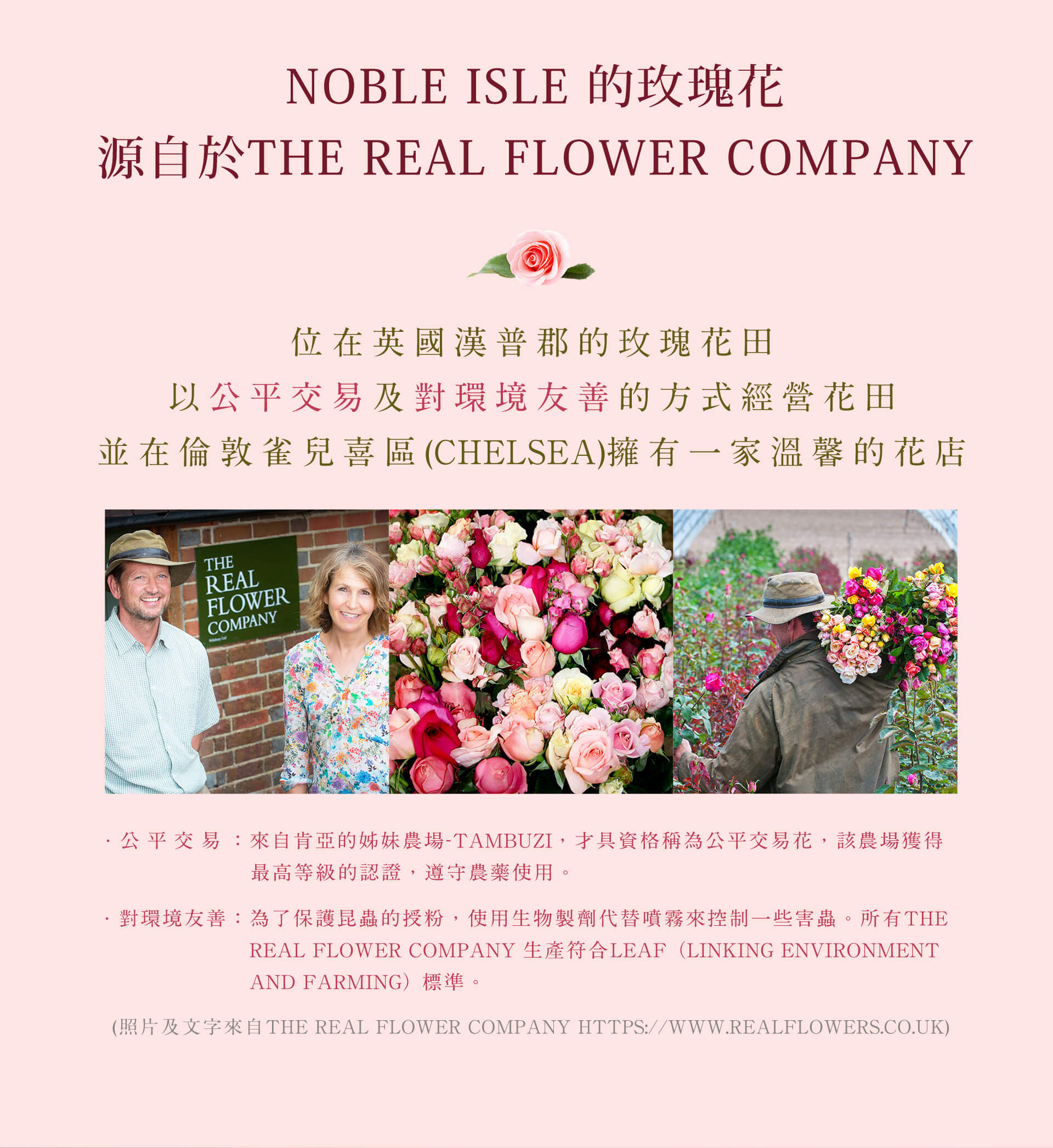 滿版banner