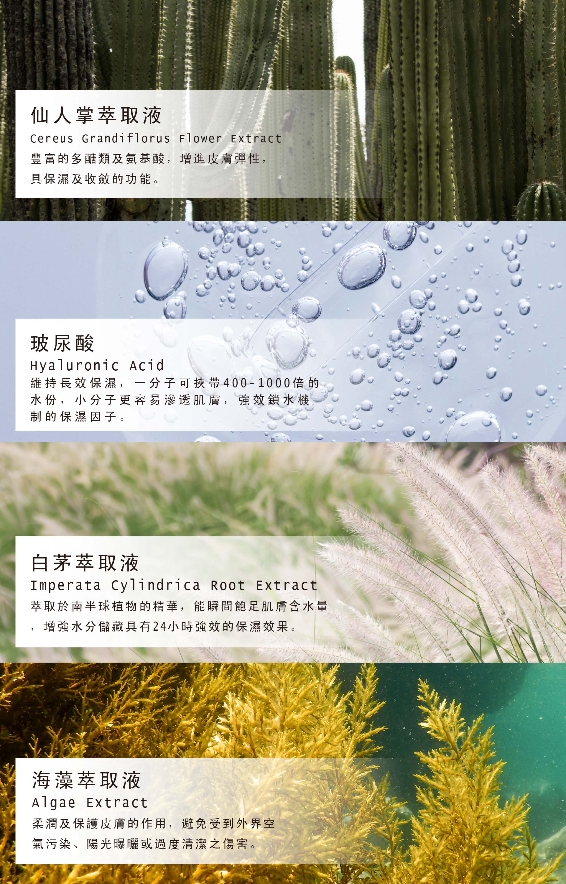 滿版banner