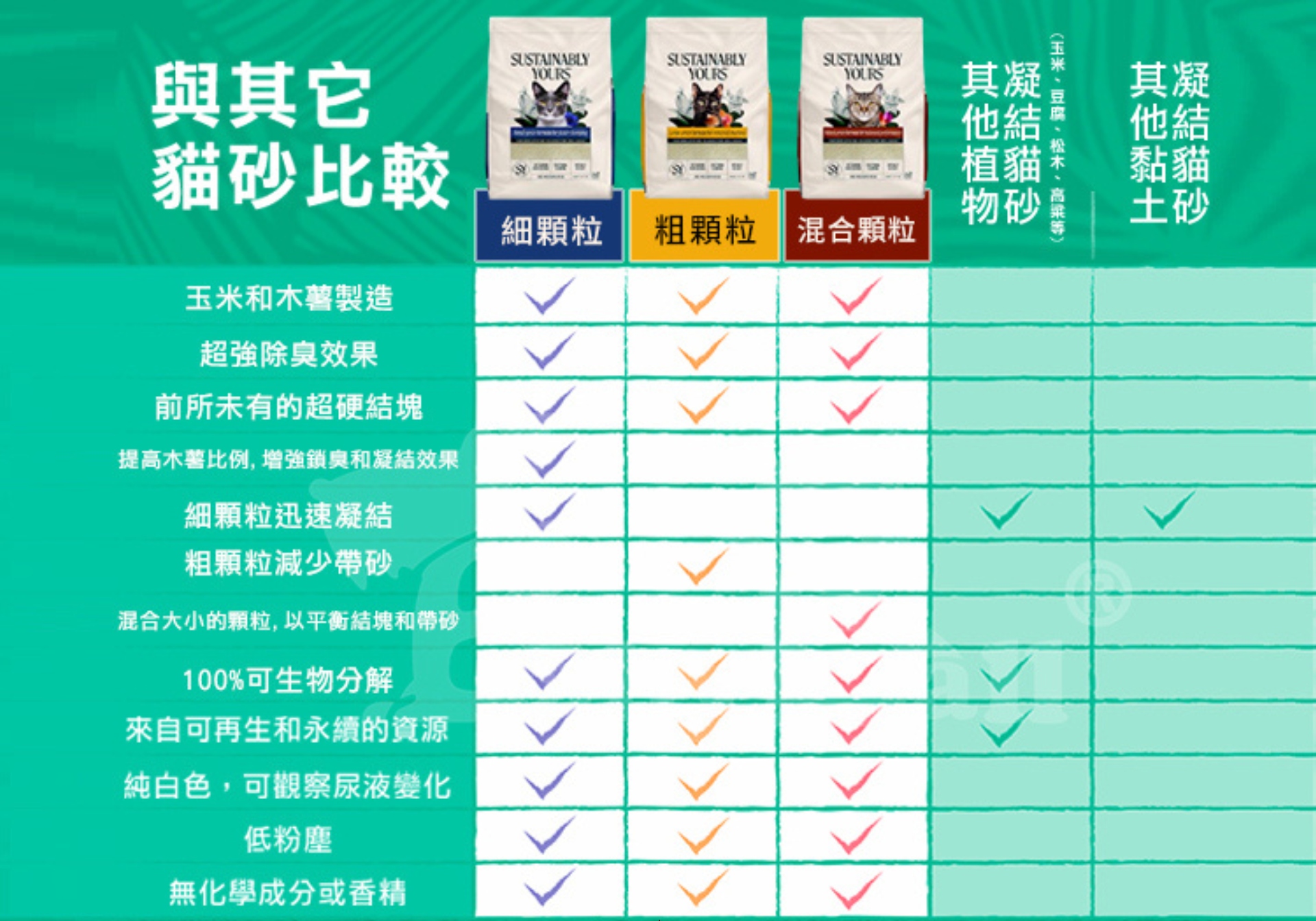 滿版banner