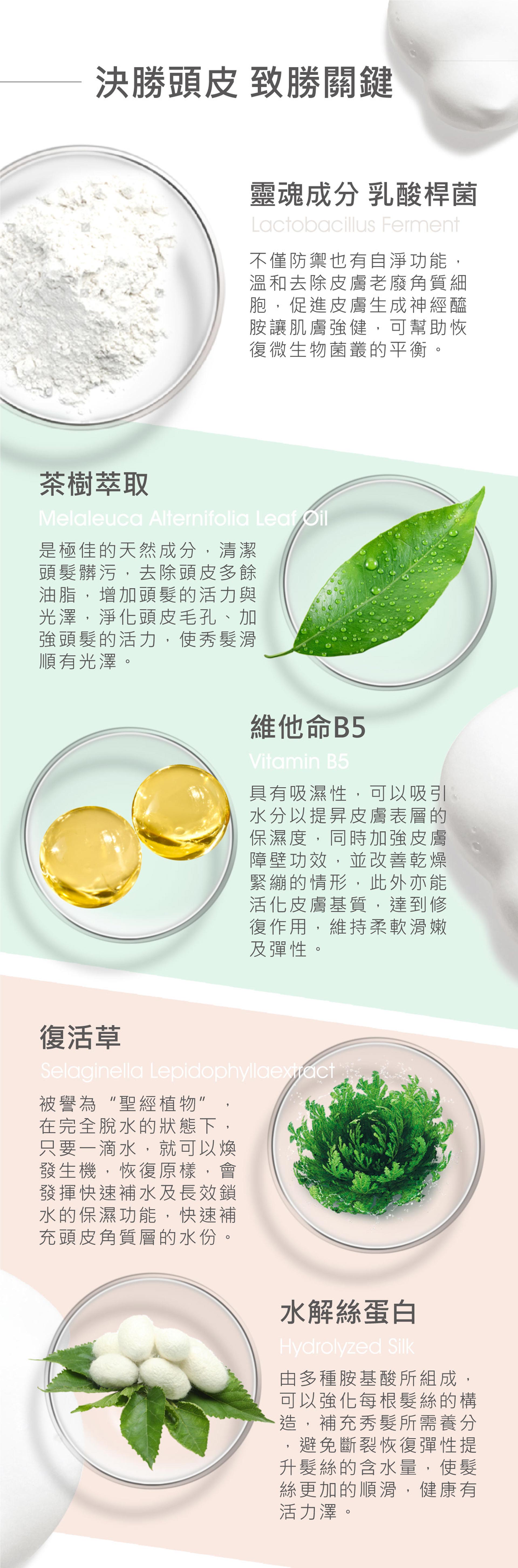 滿版banner