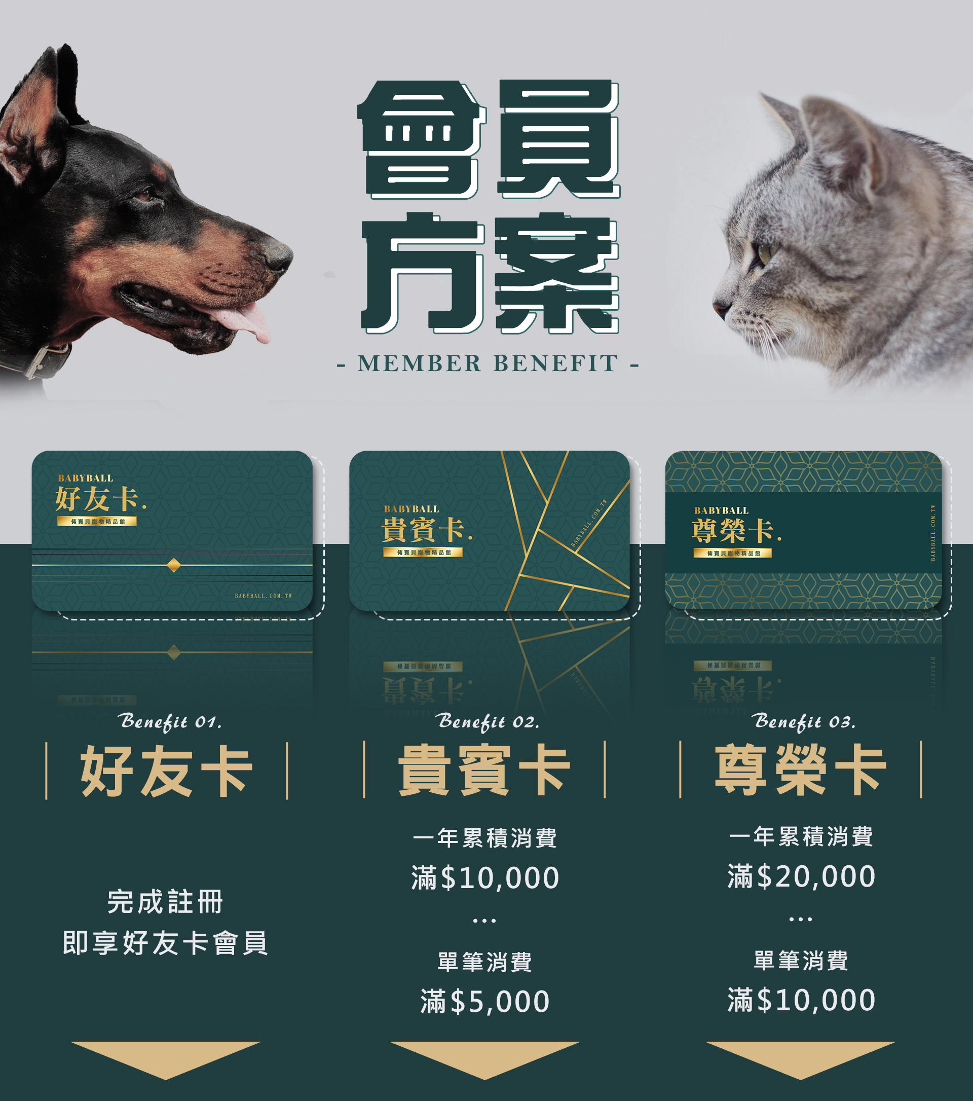 滿版banner