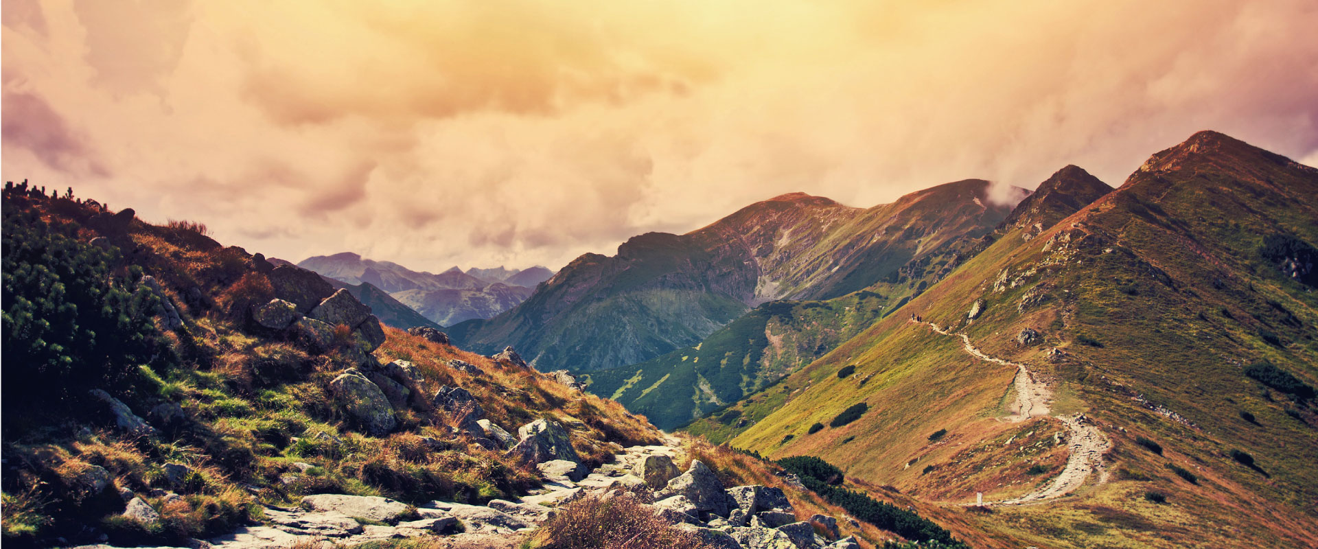 滿版banner
