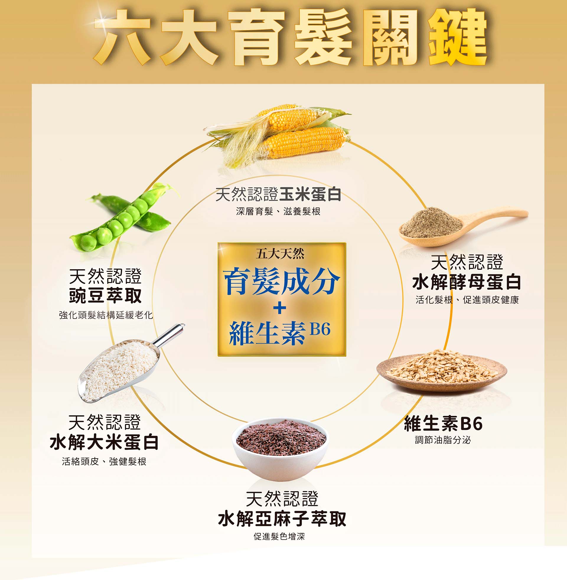 滿版banner
