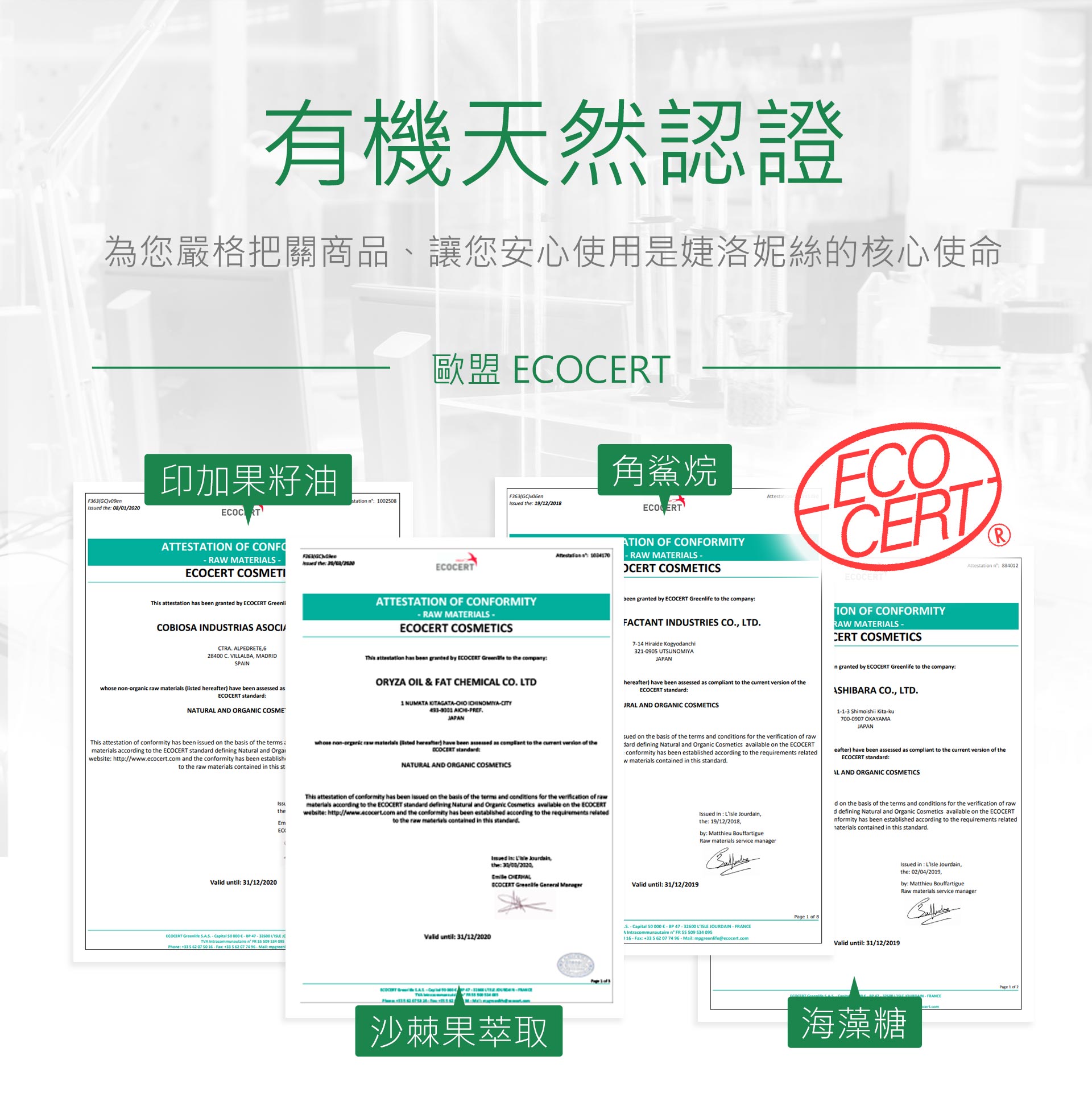 滿版banner