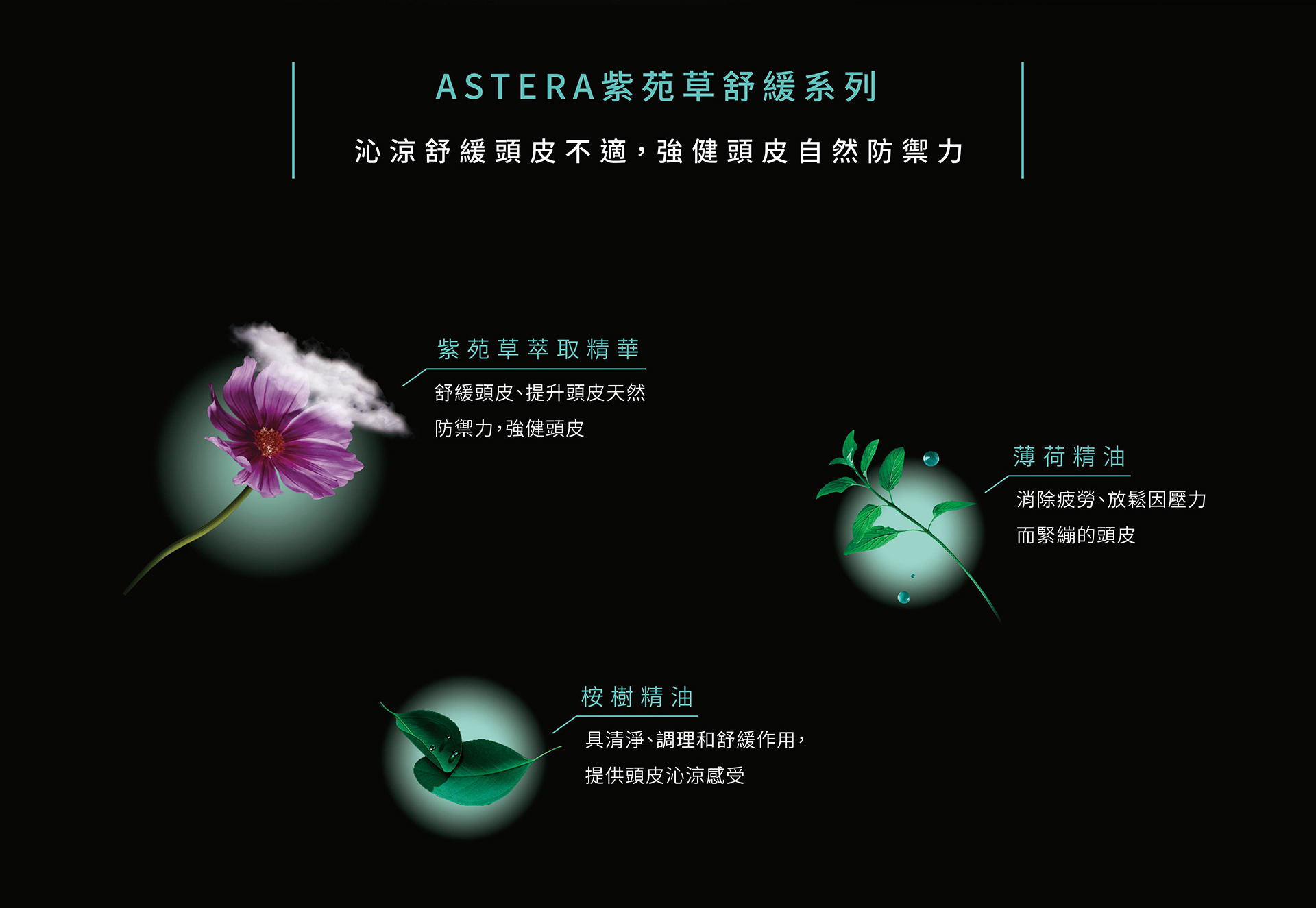 滿版banner
