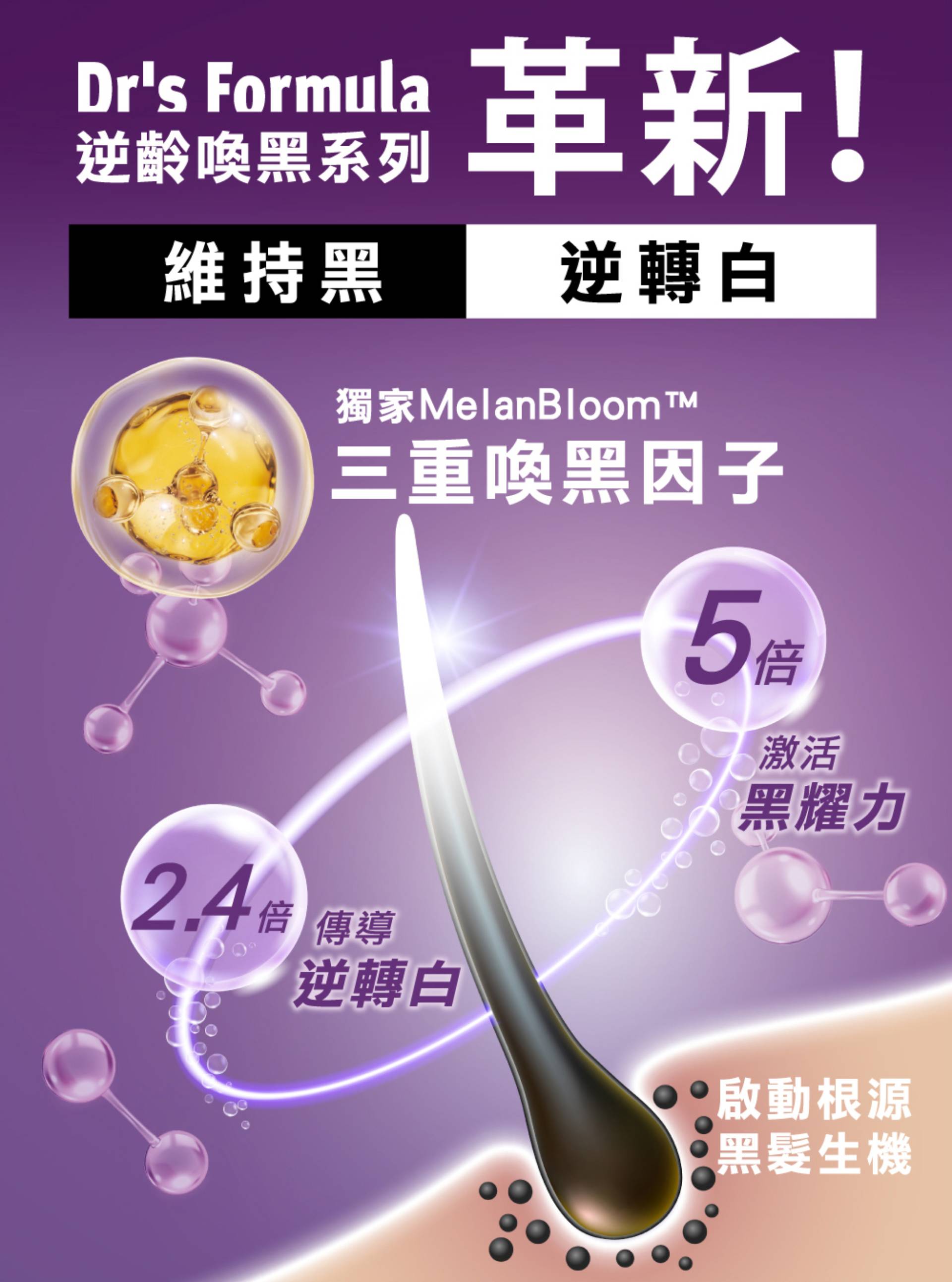 滿版banner