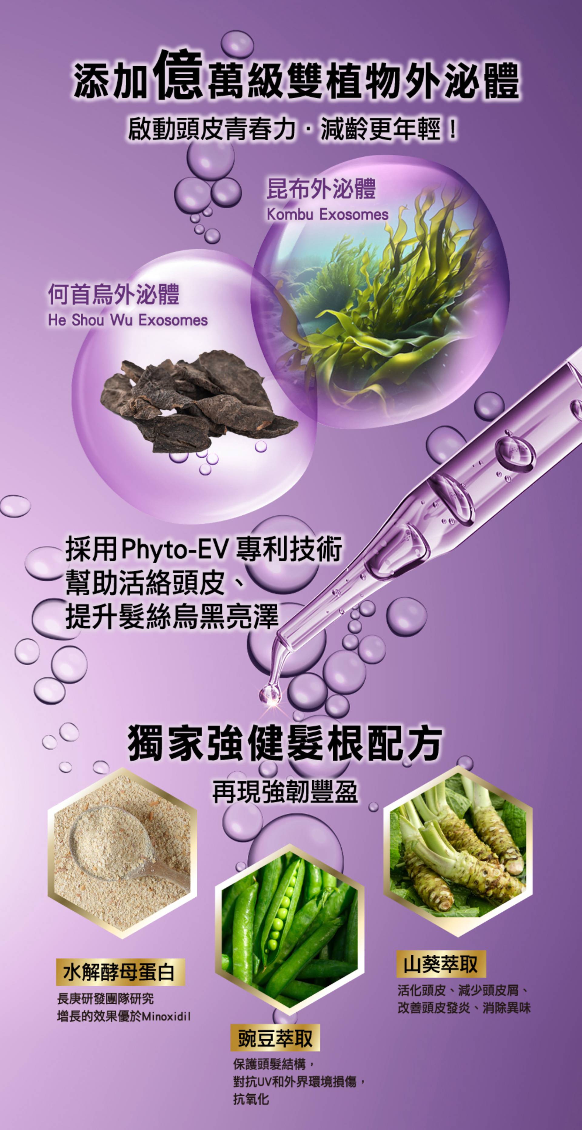 滿版banner