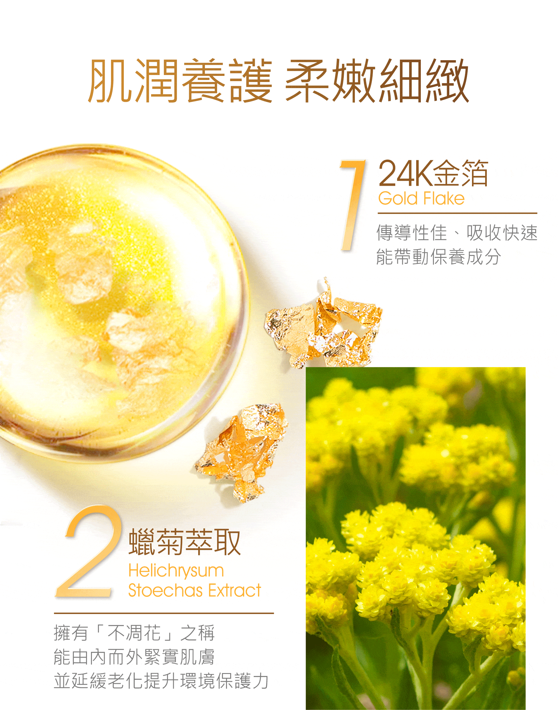 滿版banner