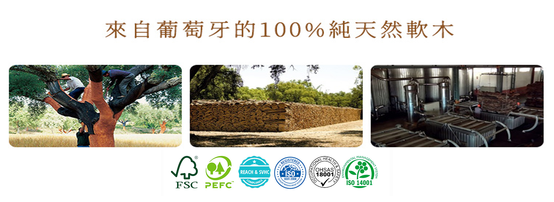 滿版banner