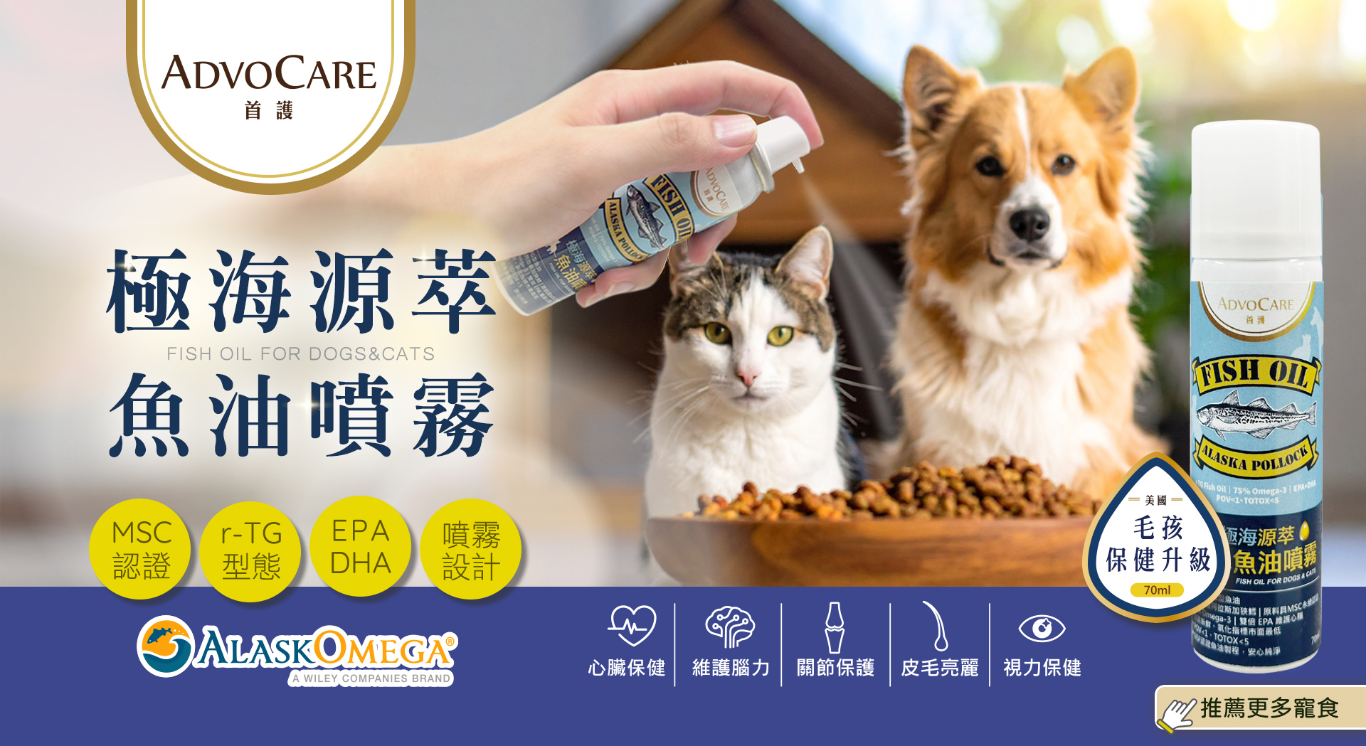 滿版banner
