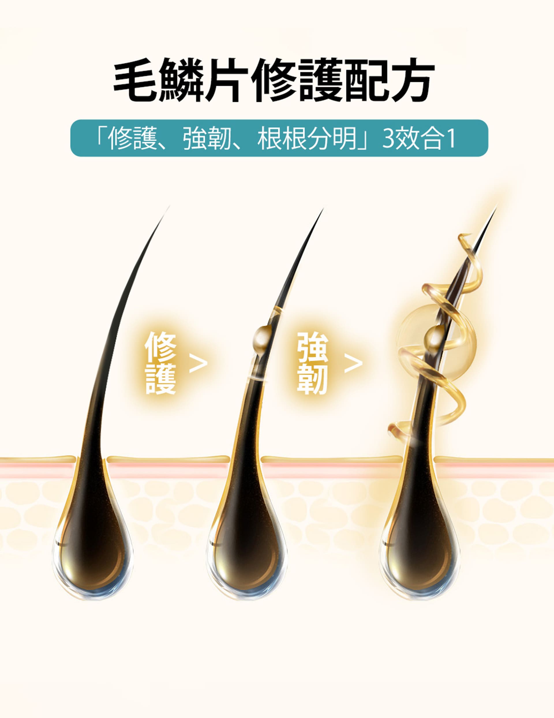 滿版banner