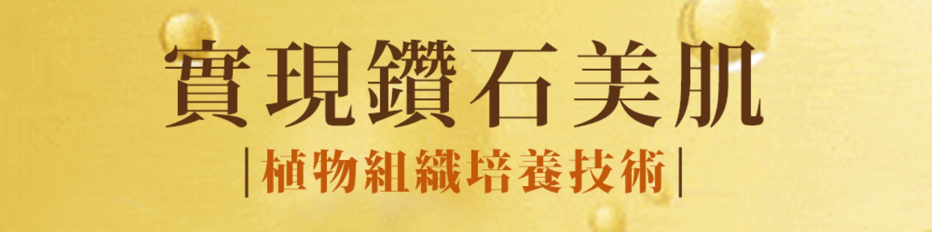 滿版banner