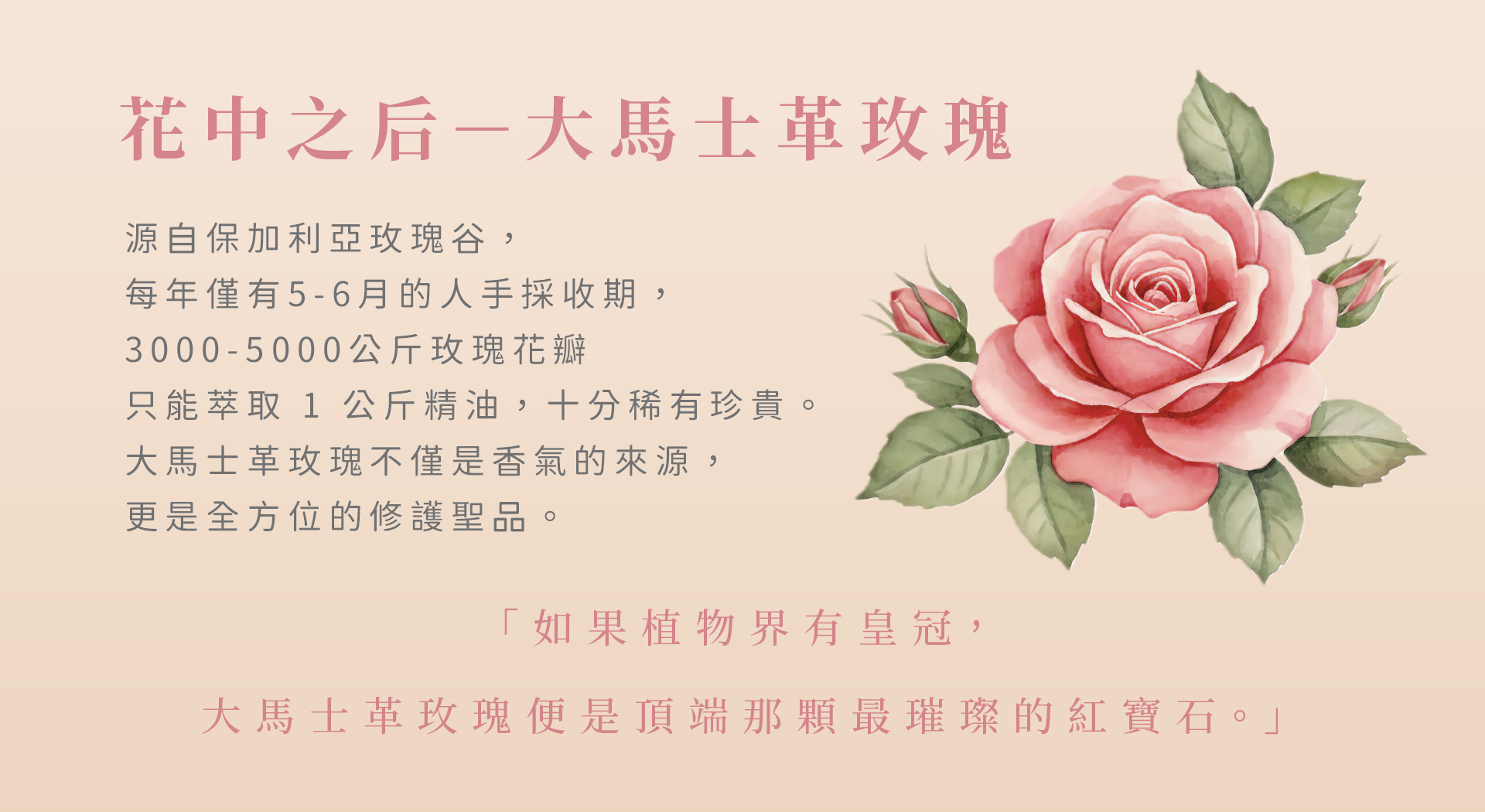 滿版banner