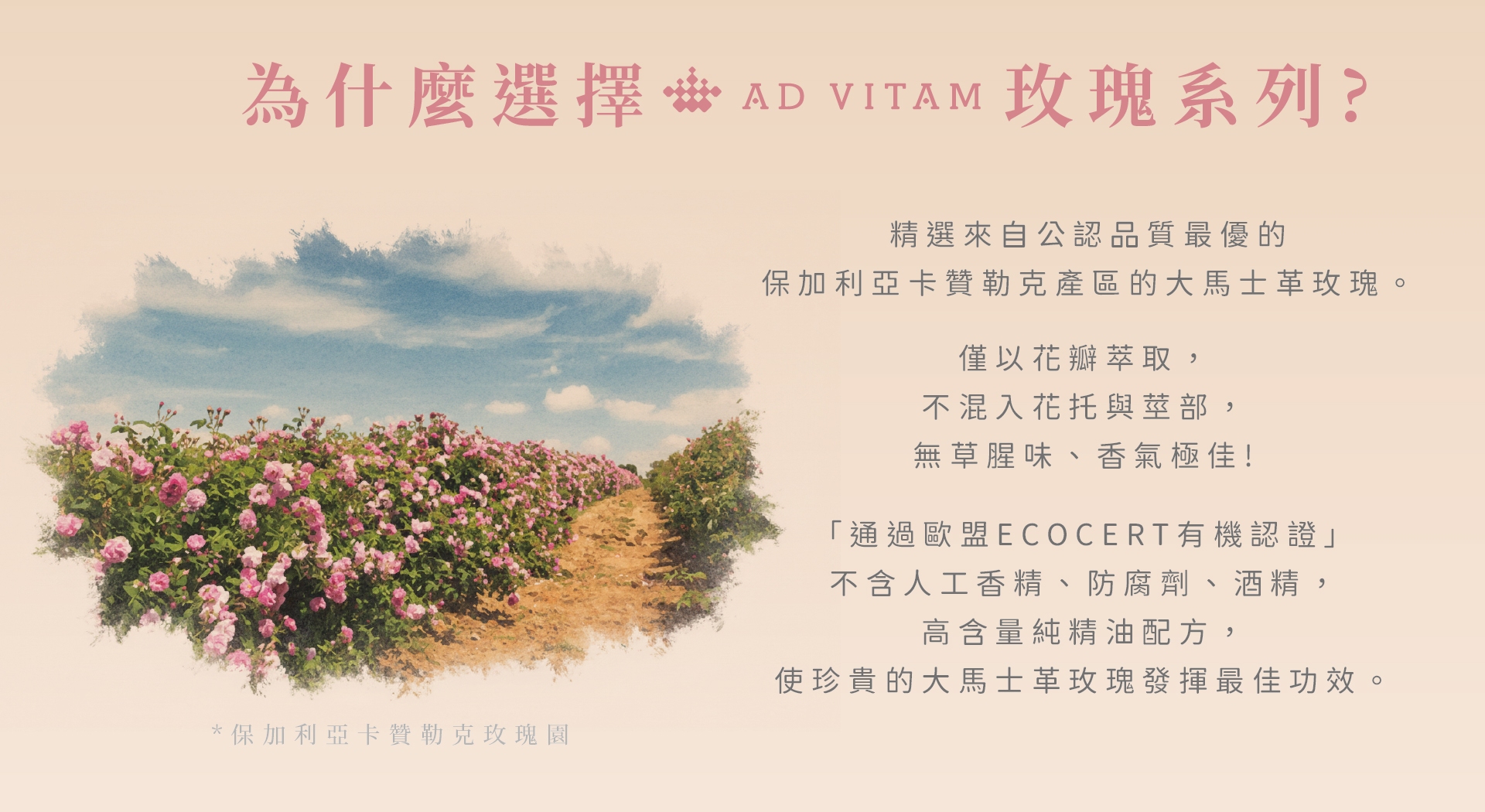 滿版banner