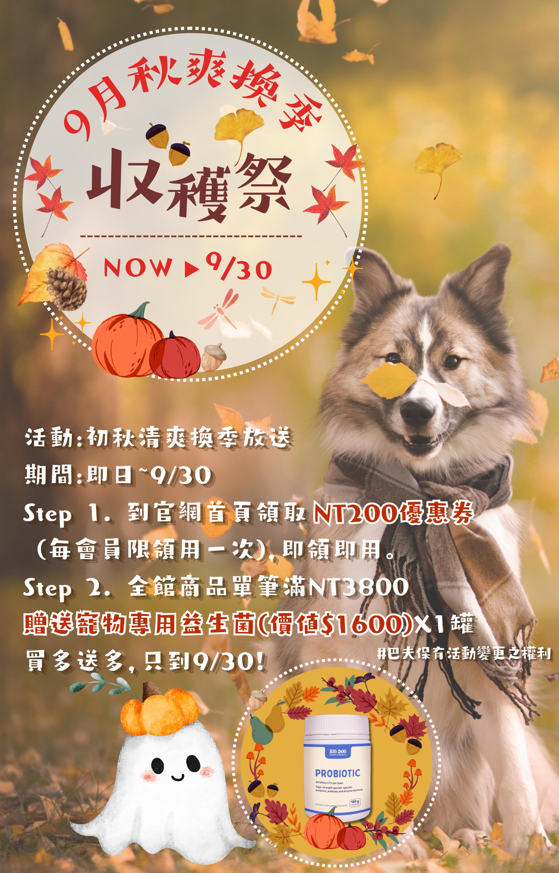 滿版banner
