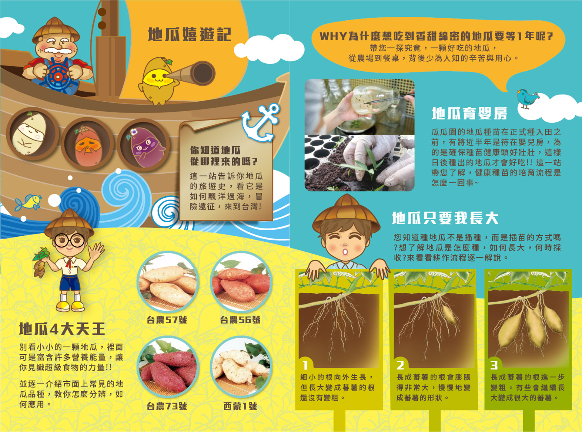 滿版banner