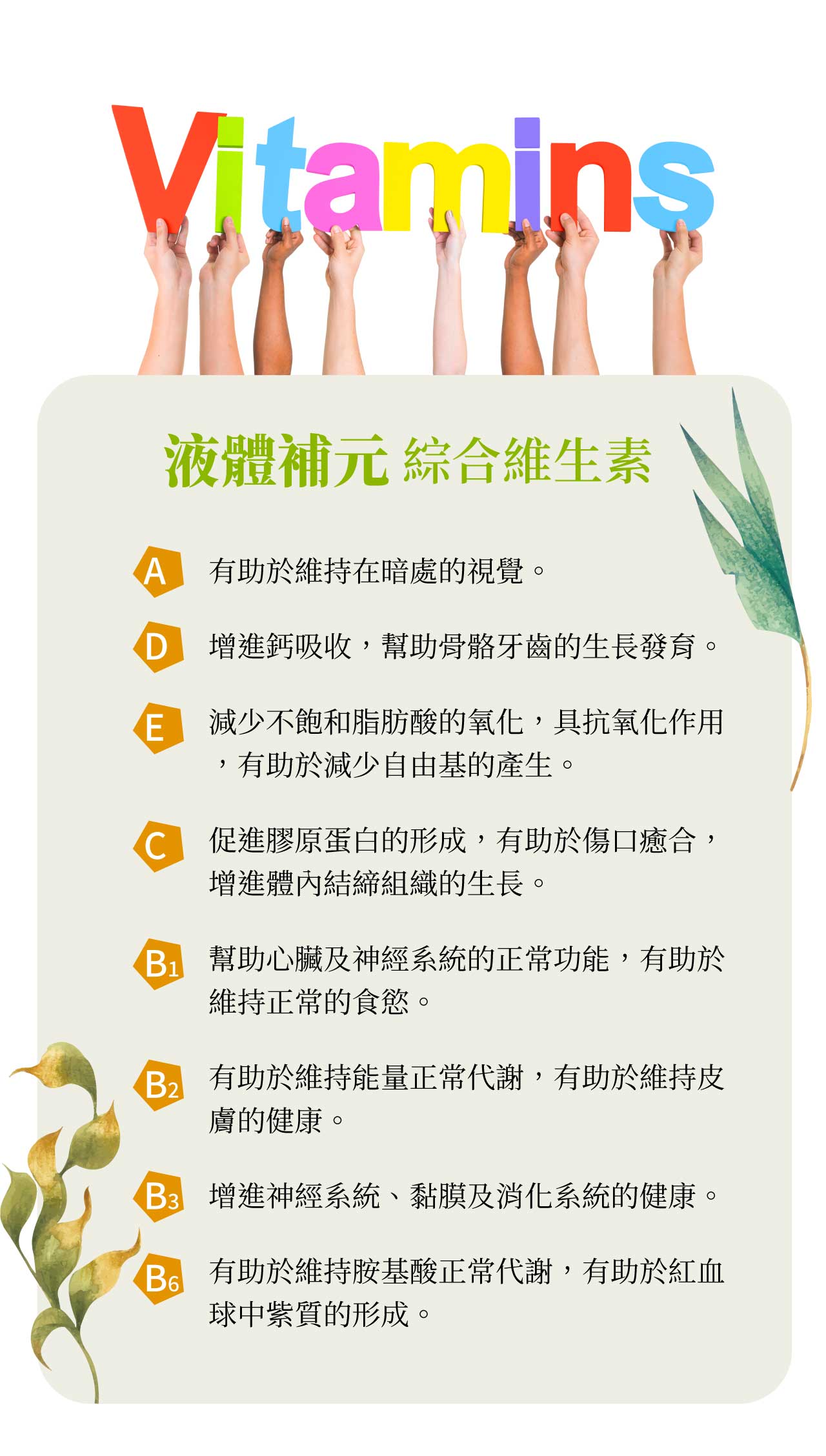 Vitamins液體補元 綜合維生素 有助於維持在暗處的視覺。 增進鈣吸收幫助骨骼牙齒的生長發育減少不飽和脂肪酸的氧化,具抗氧化作用,有助於減少自由基的產生。C促進膠原蛋白的形成,有助於傷口癒合,增進體內結締組織的生長。 幫助心臟及神經系統的正常功能,有助於維持正常的食慾。有助於維持能量正常代謝,有助於維持膚的健康。 增進神經系統、黏膜及消化系統的健康。 有助於維持胺基酸正常代謝,有助於紅血球中紫質的形成。