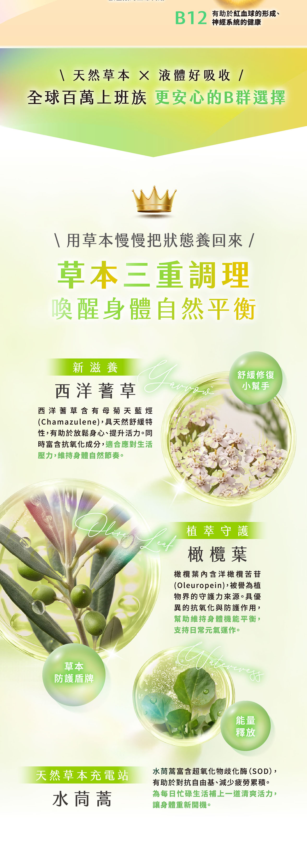 B2有助於紅血球的形成、神經系統的健康1 天然草本 液體好吸收 /全球百萬上班族 更安心的B群選擇 用草本慢慢把狀態養回來/草本三重調理喚醒身體自然平衡新滋養西洋蓍草西洋蓍草 含有母菊天藍烴(Chamazulene),具天然舒緩特性,有助於放鬆身心、提升活力。同時富含抗氧化成分,適合應對生活壓力,維持身體自然節奏。草本防護盾牌天然草本充電站水茼蒿舒緩修復小幫手植萃守護橄欖葉橄欖葉內含洋橄欖苦苷(Oleuropein),被譽為植物界的守護力來源。具優異的抗氧化與防護作用,幫助維持身體機能平衡,支持日常元氣運作。能量釋放水茼蒿富含超氧化物歧化酶(SOD),有助於對抗自由基、減少疲勞累積。為每日忙碌生活補上一道清爽活力,讓身體重新開機。