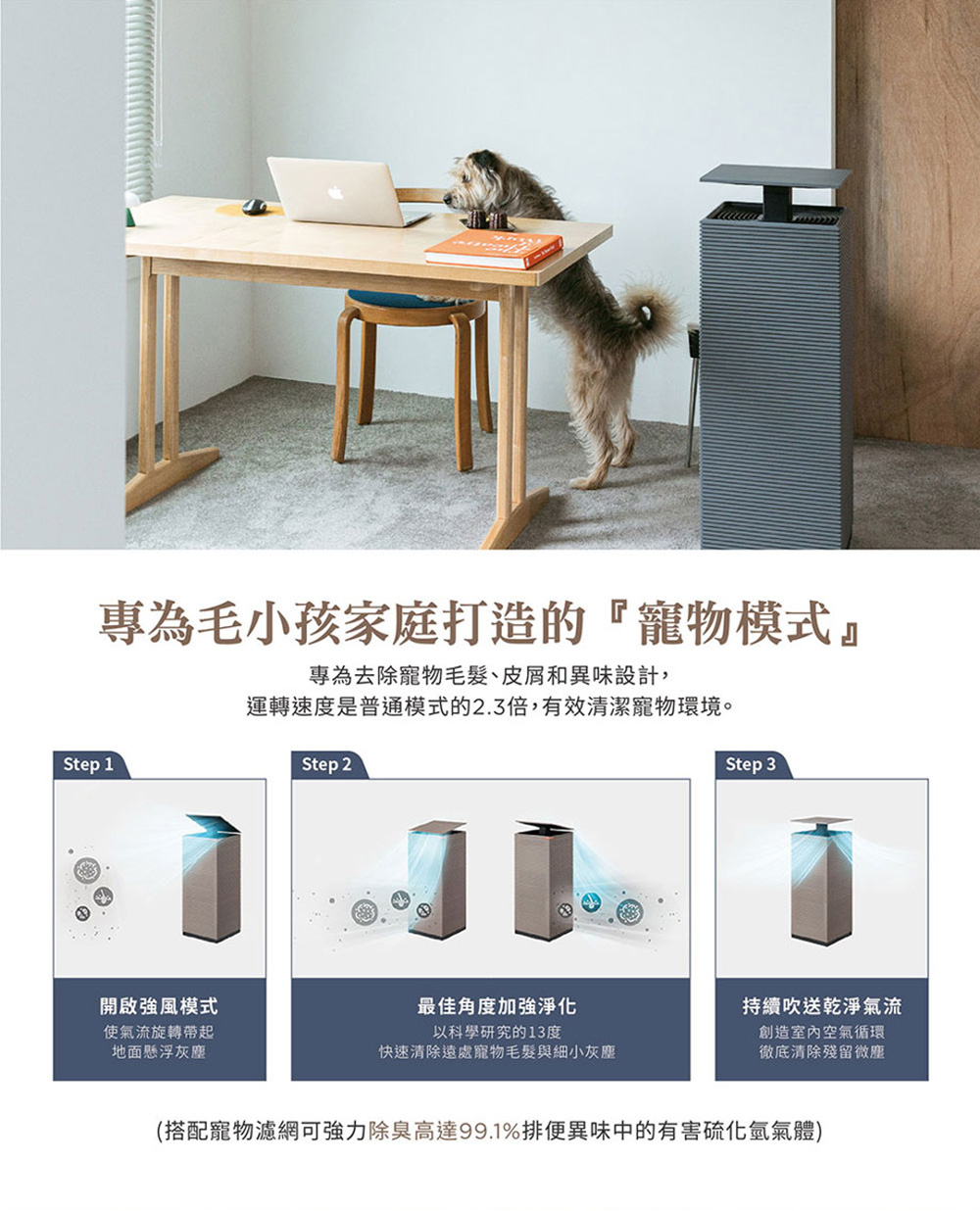 圖片介紹 圖片介紹