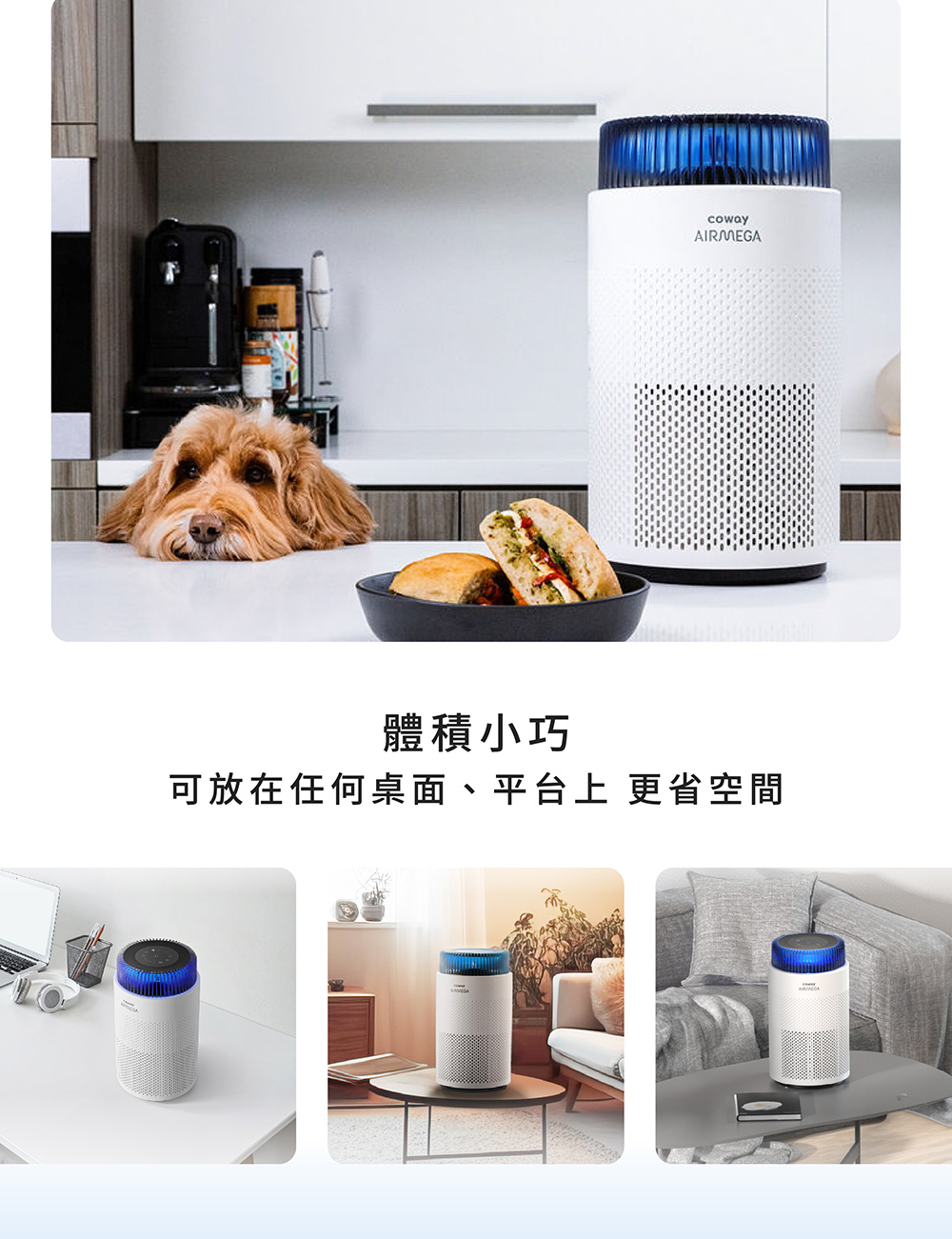 圖片介紹 圖片介紹