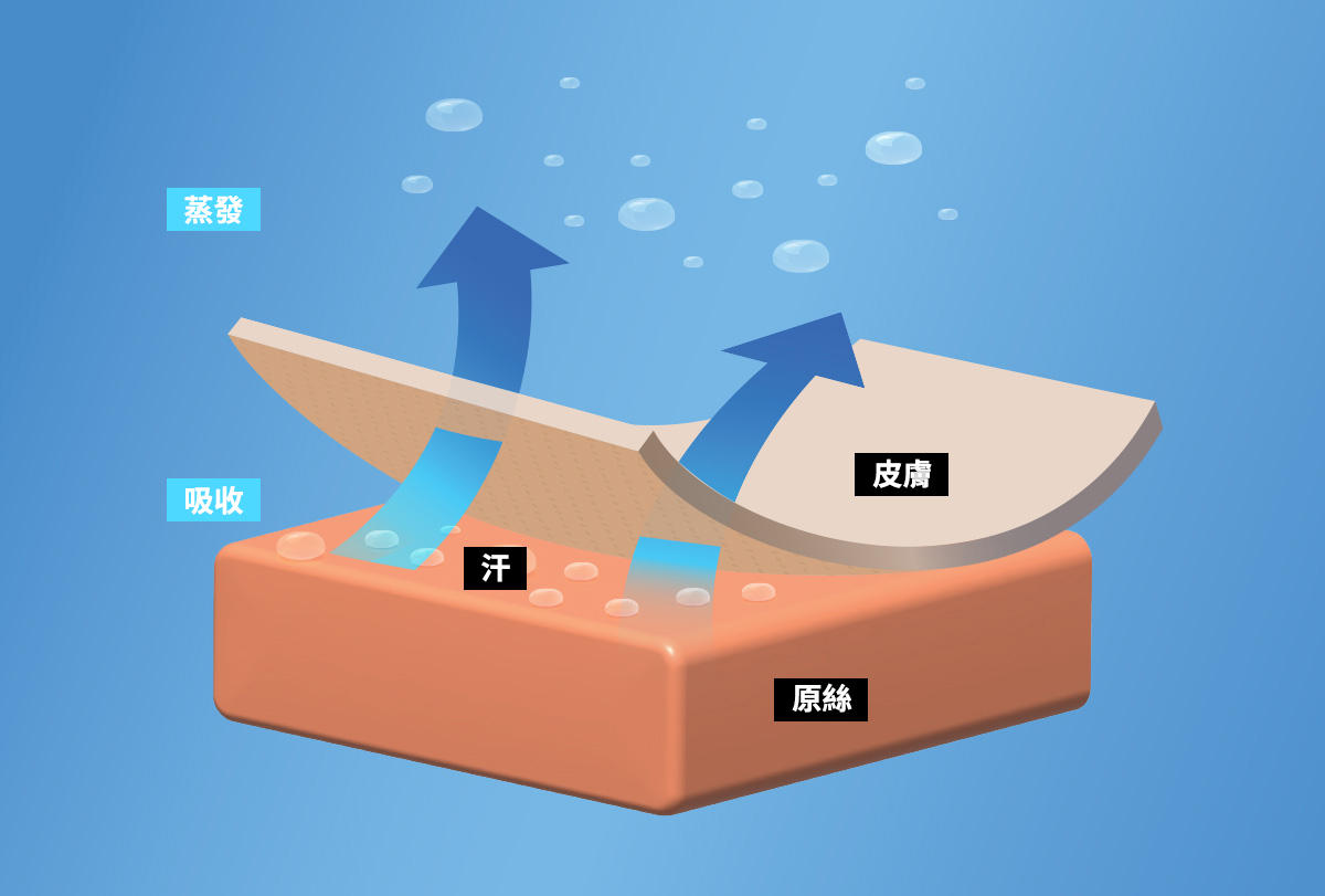 Aqua-X 支撐型髕骨帶 (1個/單入) 商品說明圖 11