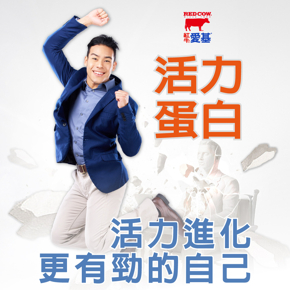 蛋白質營養品推薦:紅牛愛基活力蛋白配方 24 罐箱裝視覺