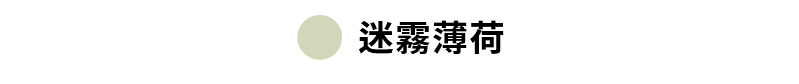 【XEXYMIX】 XXMX溫暖拉絨連帽短版大學TEE|共5色|XTFHD02H4 59 20