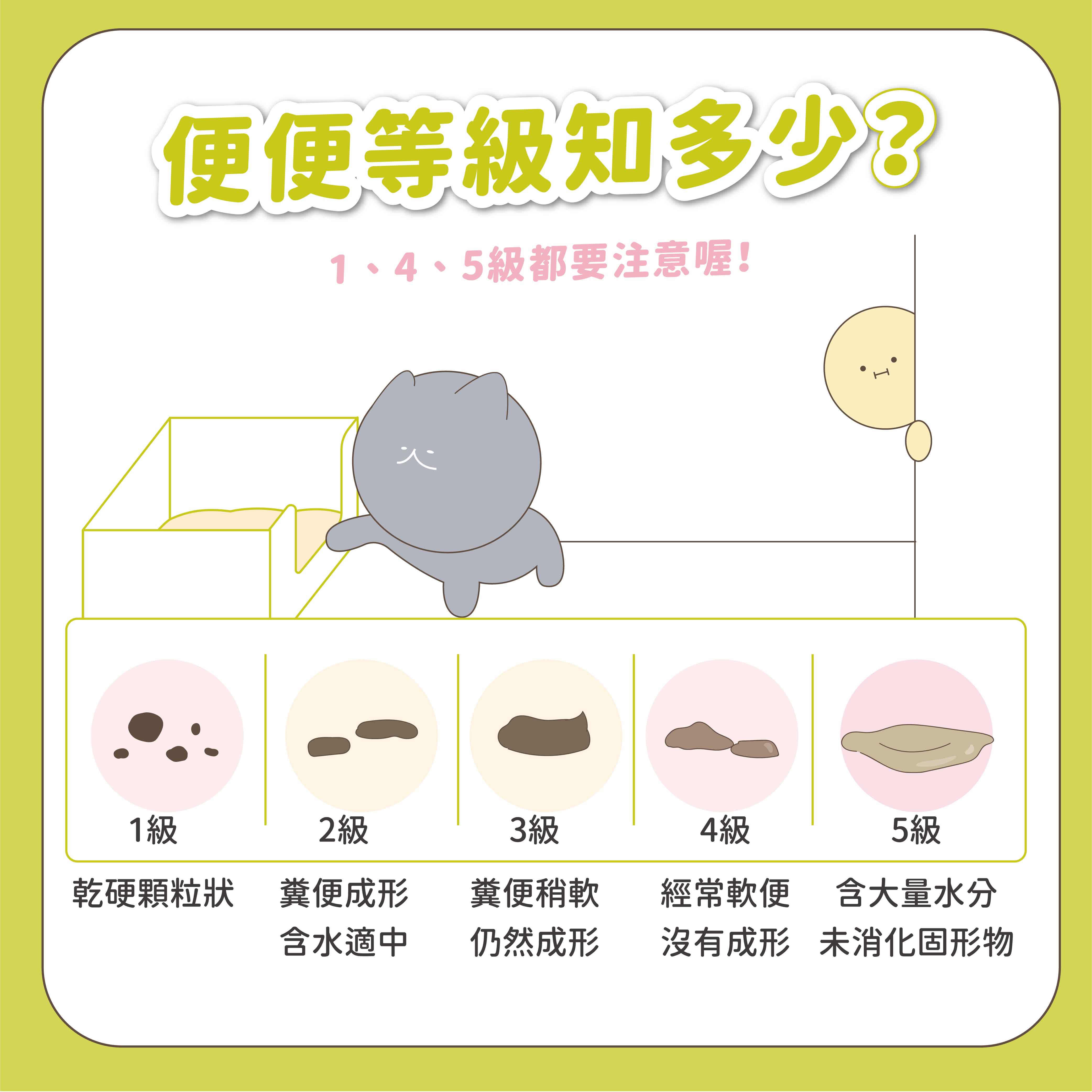 便便等級知多少?1、4、5級都要注意喔!1級2級3級乾硬顆粒狀糞便成形糞便4級5級經常軟便 含大量水分含水適中仍然成形沒有成形 未消化固形物I
