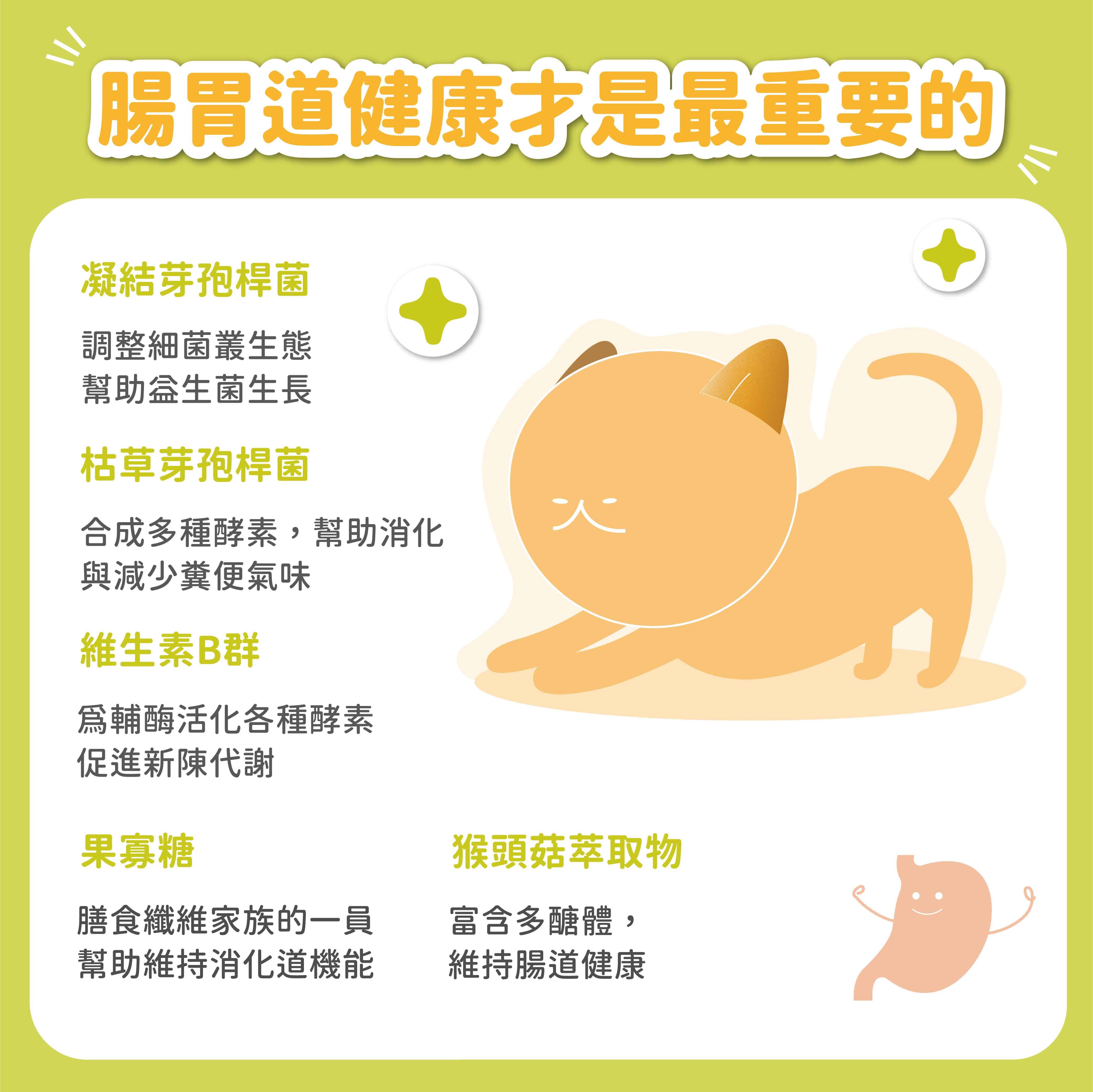 腸胃道健康最重要的凝結芽孢桿菌調整細菌叢生態幫助益生菌生長枯草芽孢桿菌合成多種酵素,幫助消化與減少糞便氣味維生素B群輔酶活化各種酵素促進新陳代謝果寡糖ン膳食纖維家族的一員維持消化道機能猴頭菇萃取物富含多醣體,維持腸道健康/