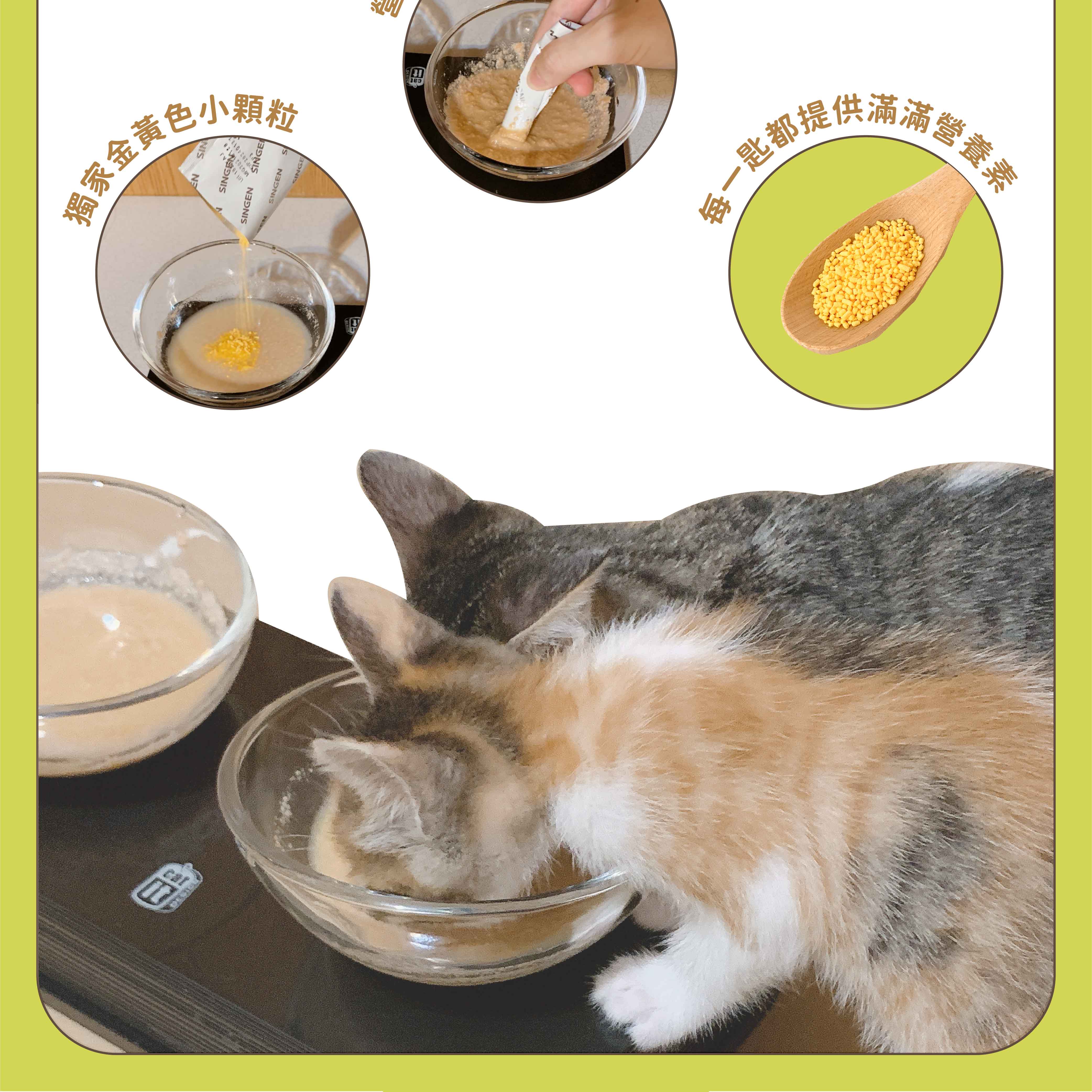 獨家金ENSINGEN SINGESINGENSINGENSINGEcatit每一匙都提供滿滿營養素