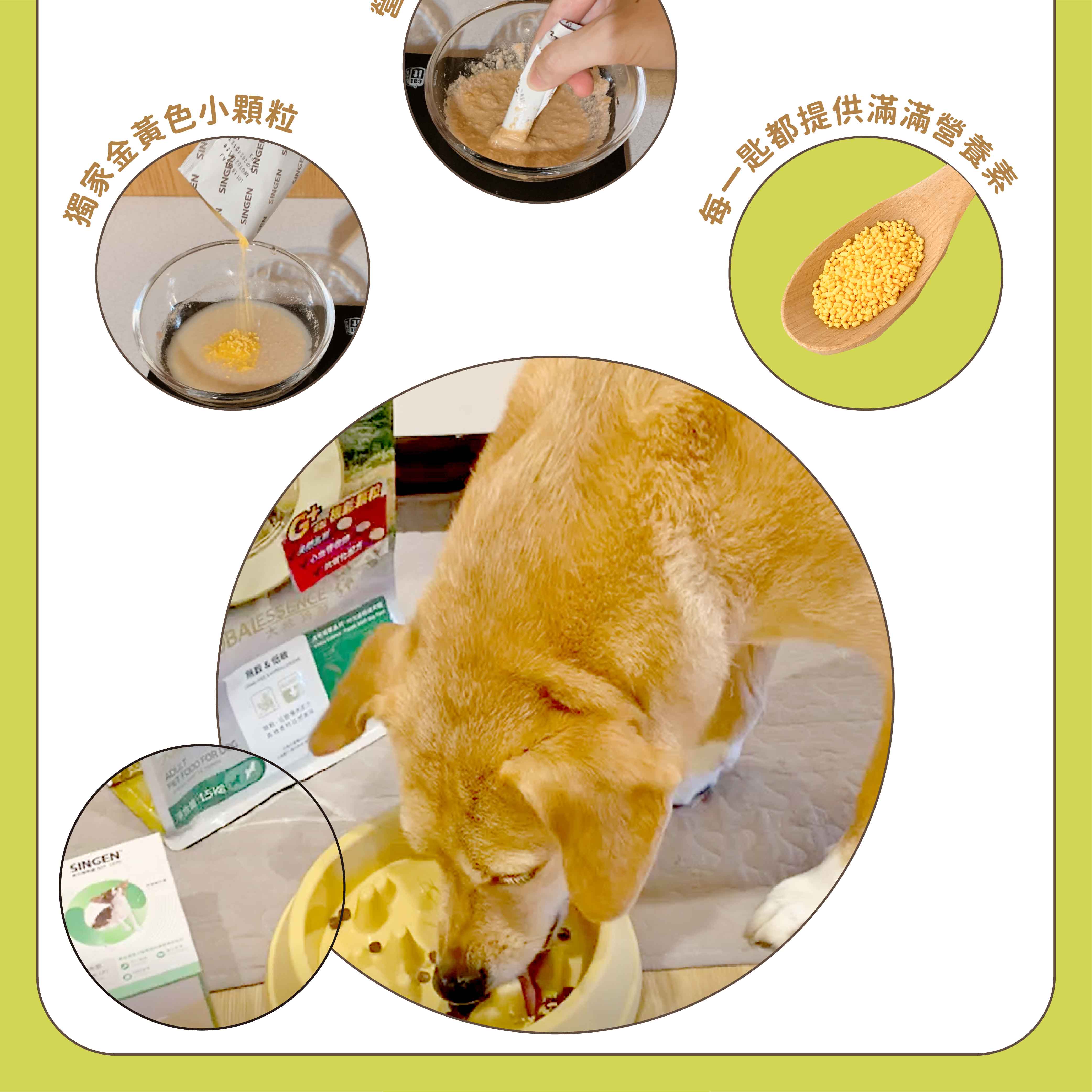 GEN家金黃色小顆粒NENSIN SINGENSINGESINGENSINGEBALESSENCE  FOR&低都提供滿滿營養素