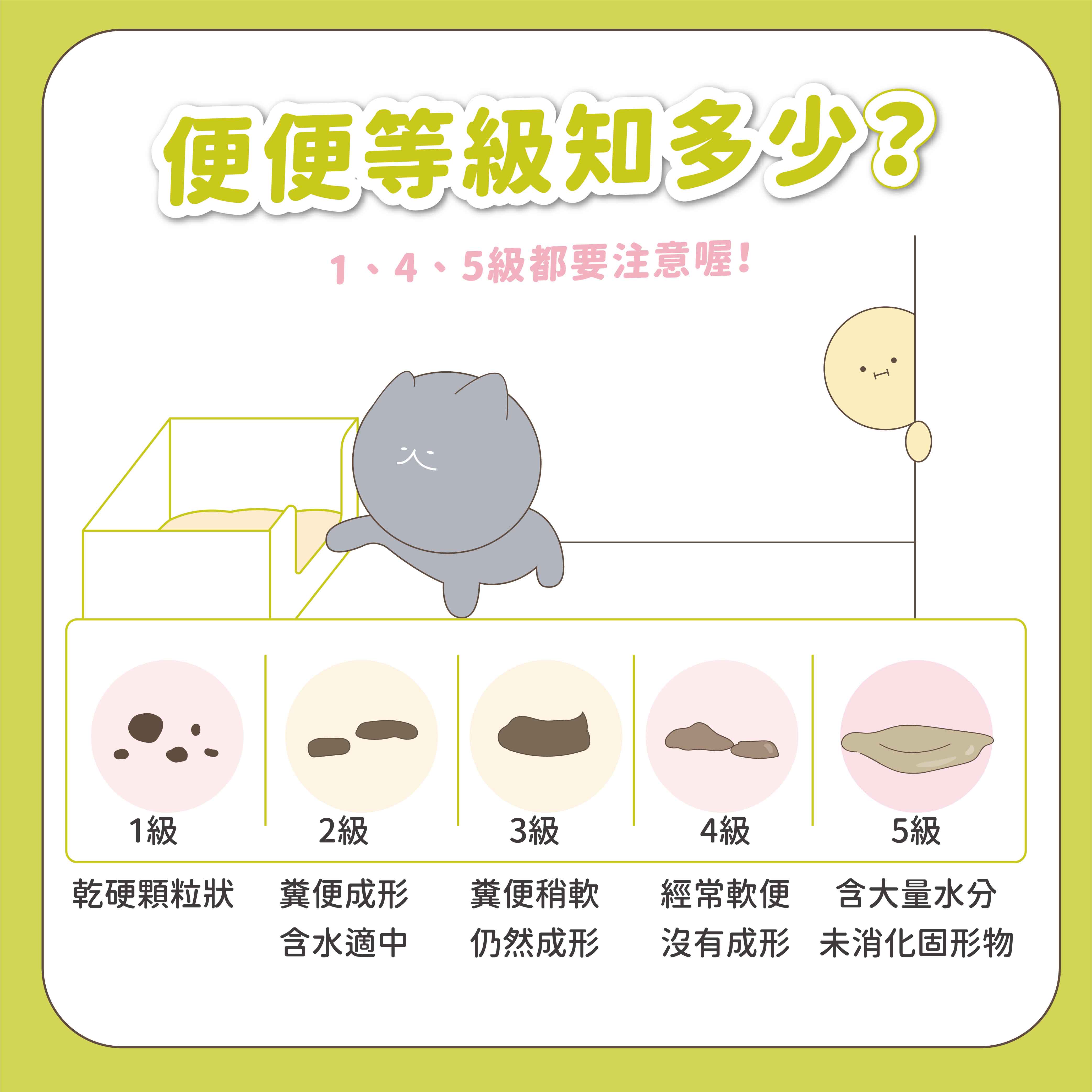 便便等級知多少?1、4、5級都要注意喔!1級2級3級4級5級乾硬顆粒狀成形糞便經常軟便含大量水分含水適中仍然成形沒有成形 未消化固形物I