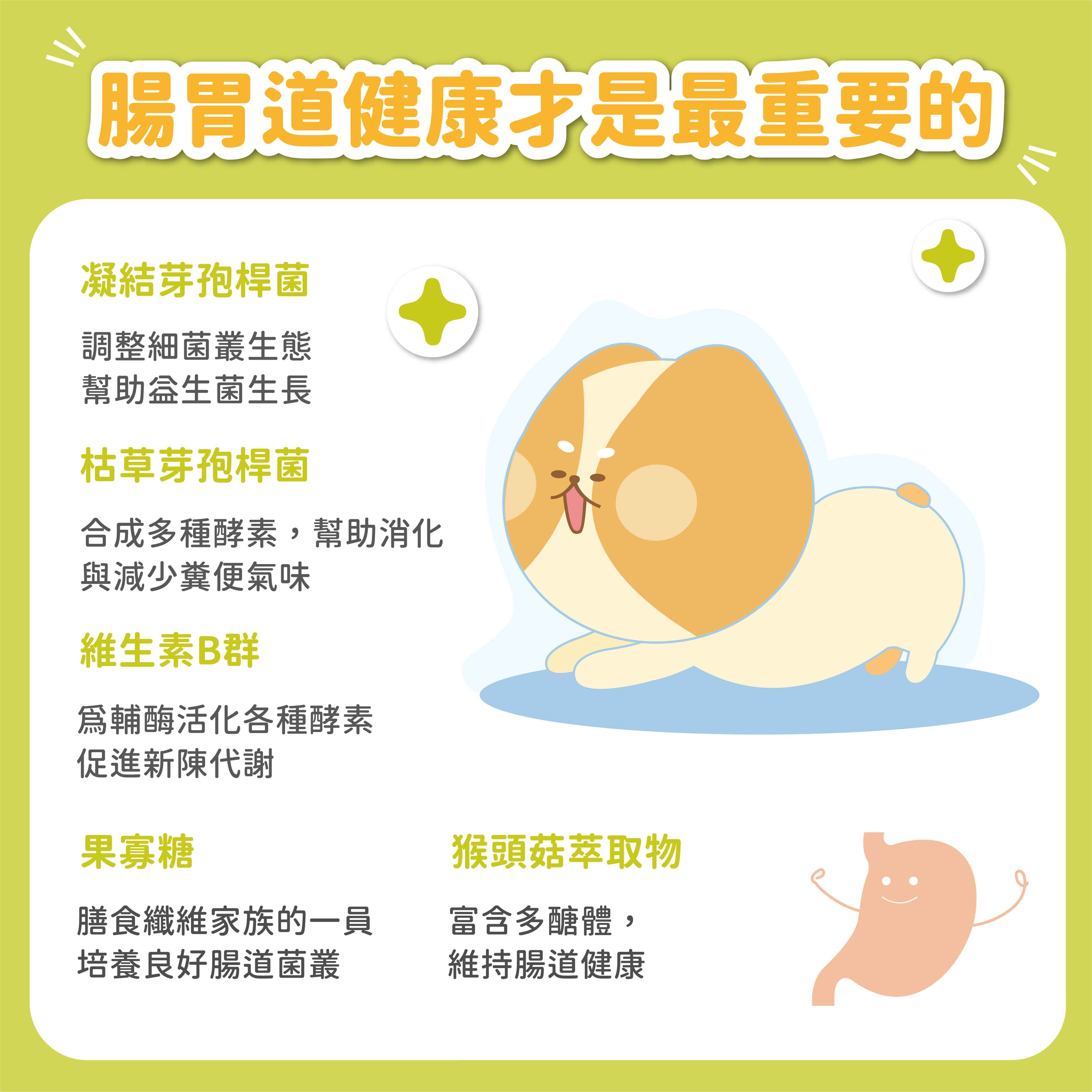 /腸胃道健康最重要的凝結芽孢桿菌調整細菌叢生態幫助益生菌生長枯草芽孢桿菌合成多種酵素,幫助消化與減少糞便氣味維生素B群爲輔酶活化各種酵素促進新陳代謝果寡糖膳食纖維家族的一員培養良好腸道菌叢猴頭菇萃取物富含多醣體,維持腸道健康