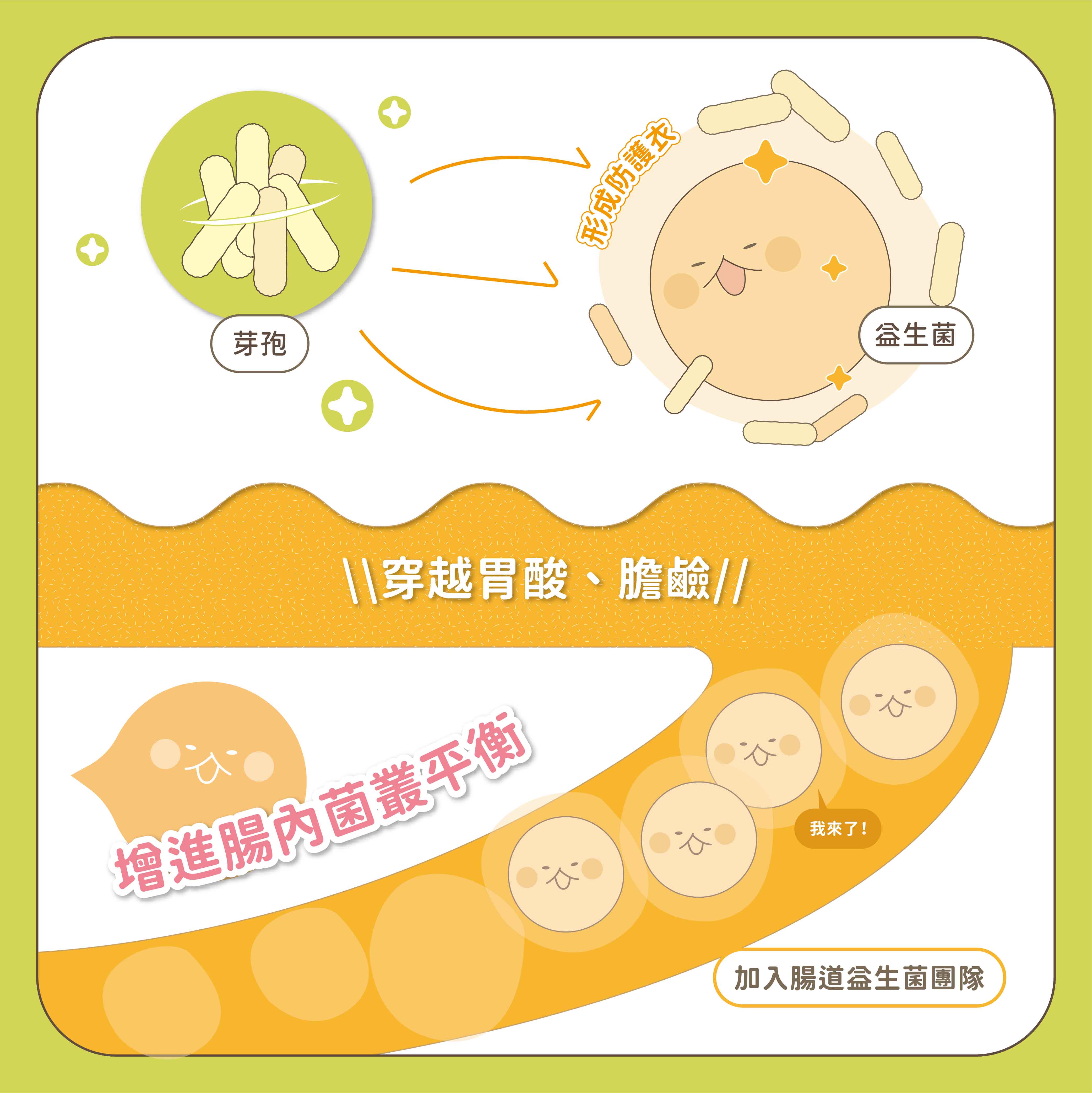 芽孢成防護穿越胃酸、膽鹼//增進腸內菌叢平衡我來了!加入腸道團隊益生菌