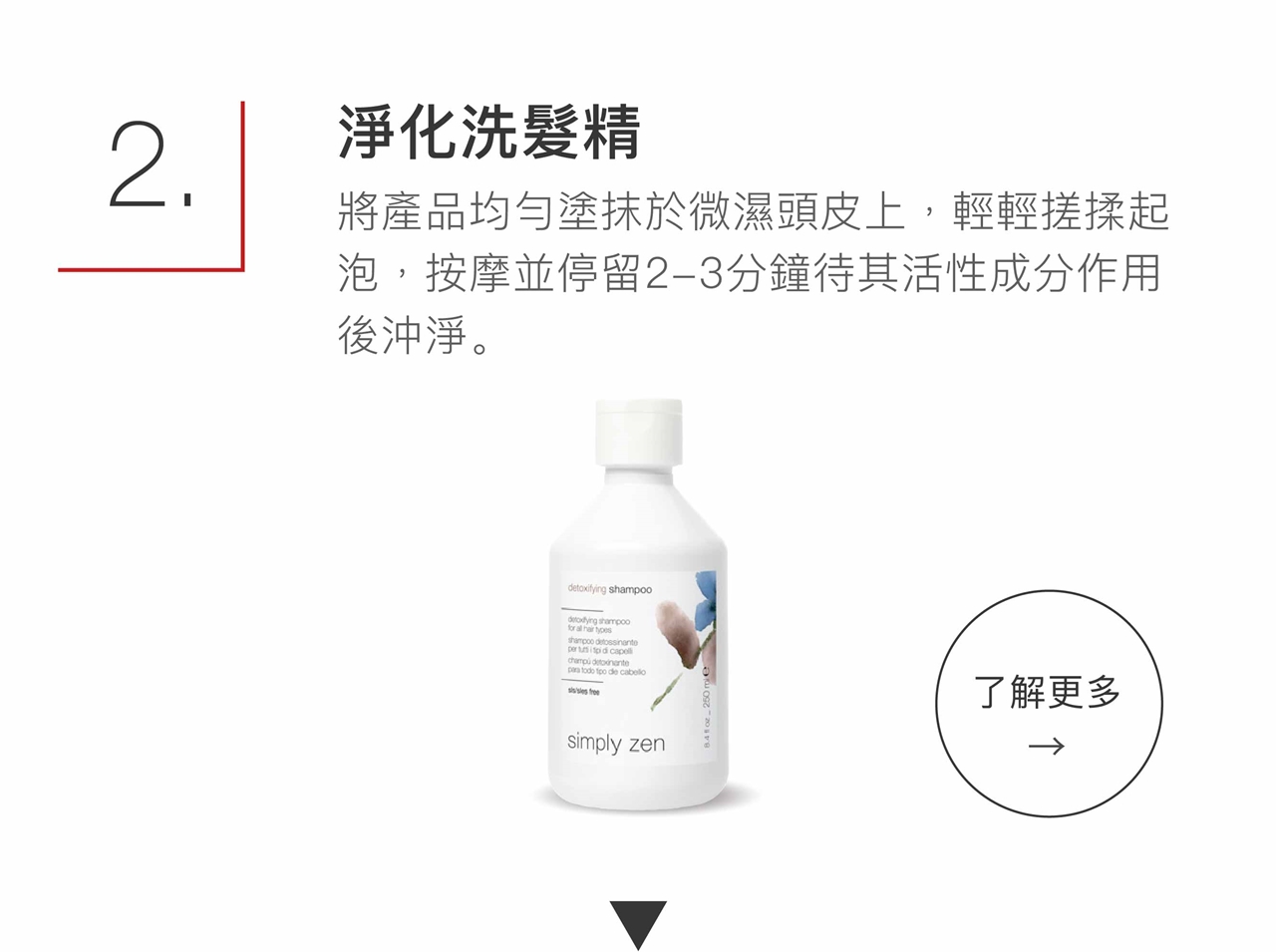 simply zen 淨化洗髮精