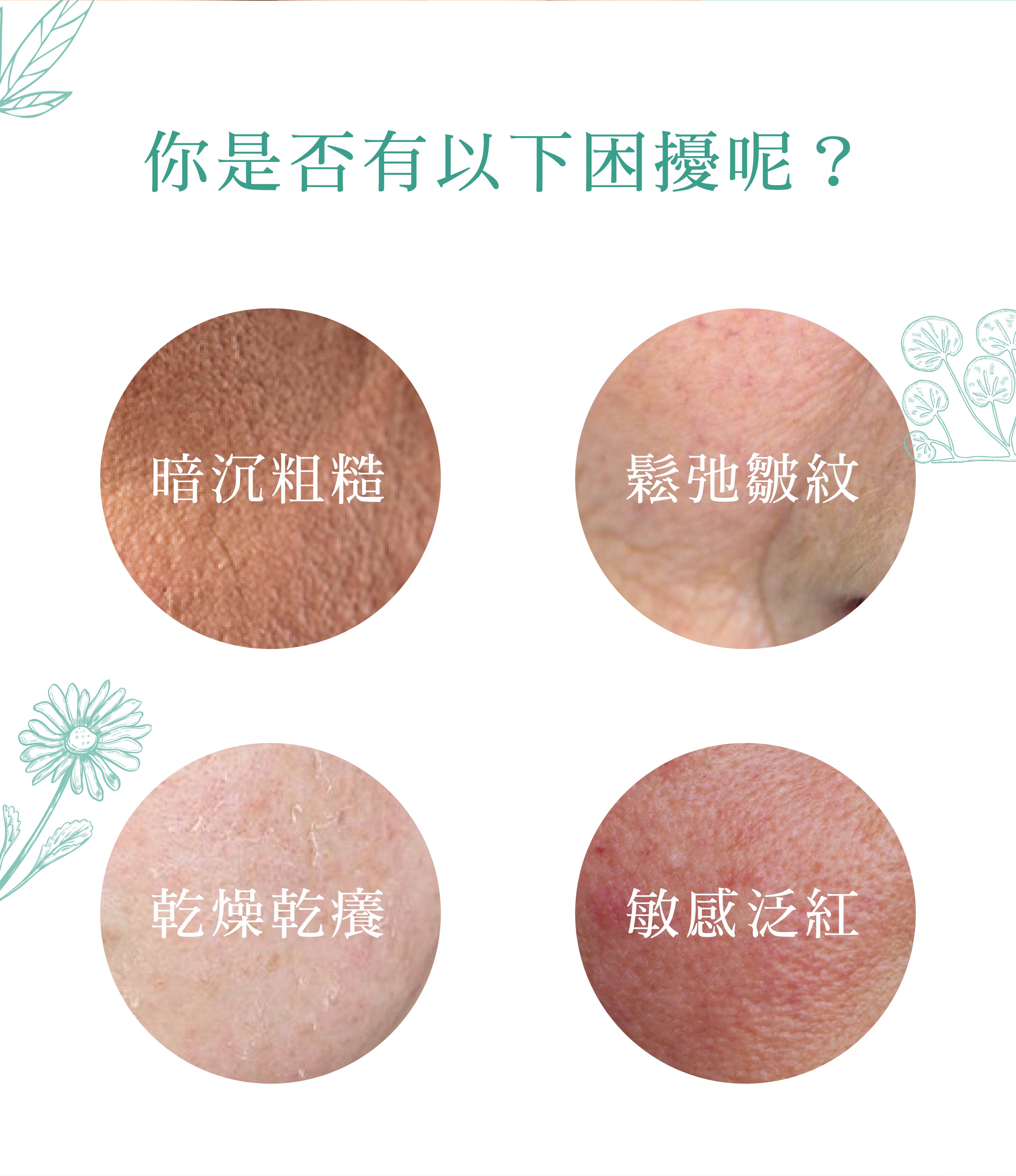 暗沉粗糙、鬆弛皺紋、乾燥乾癢、敏感泛紅，保濕抗老乳液首選。柔漾全能乳液 - VIYA'S薇亞絲專業保養品