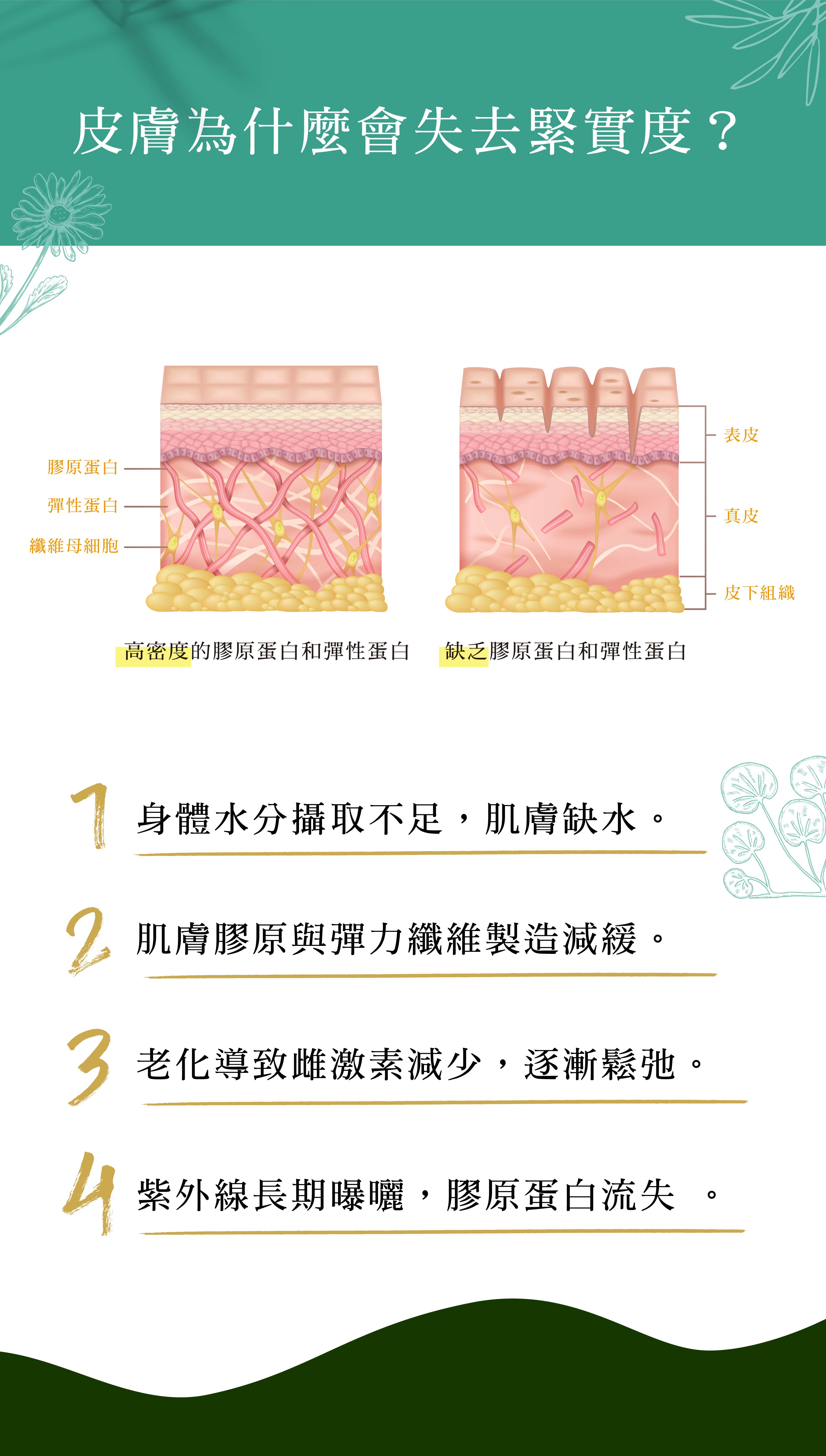 肌膚缺水、膠原蛋白流失，肌膚失去緊實度該怎麼辦？保濕抗老｜柔漾全能乳液 - VIYA'S薇亞絲專業保養品