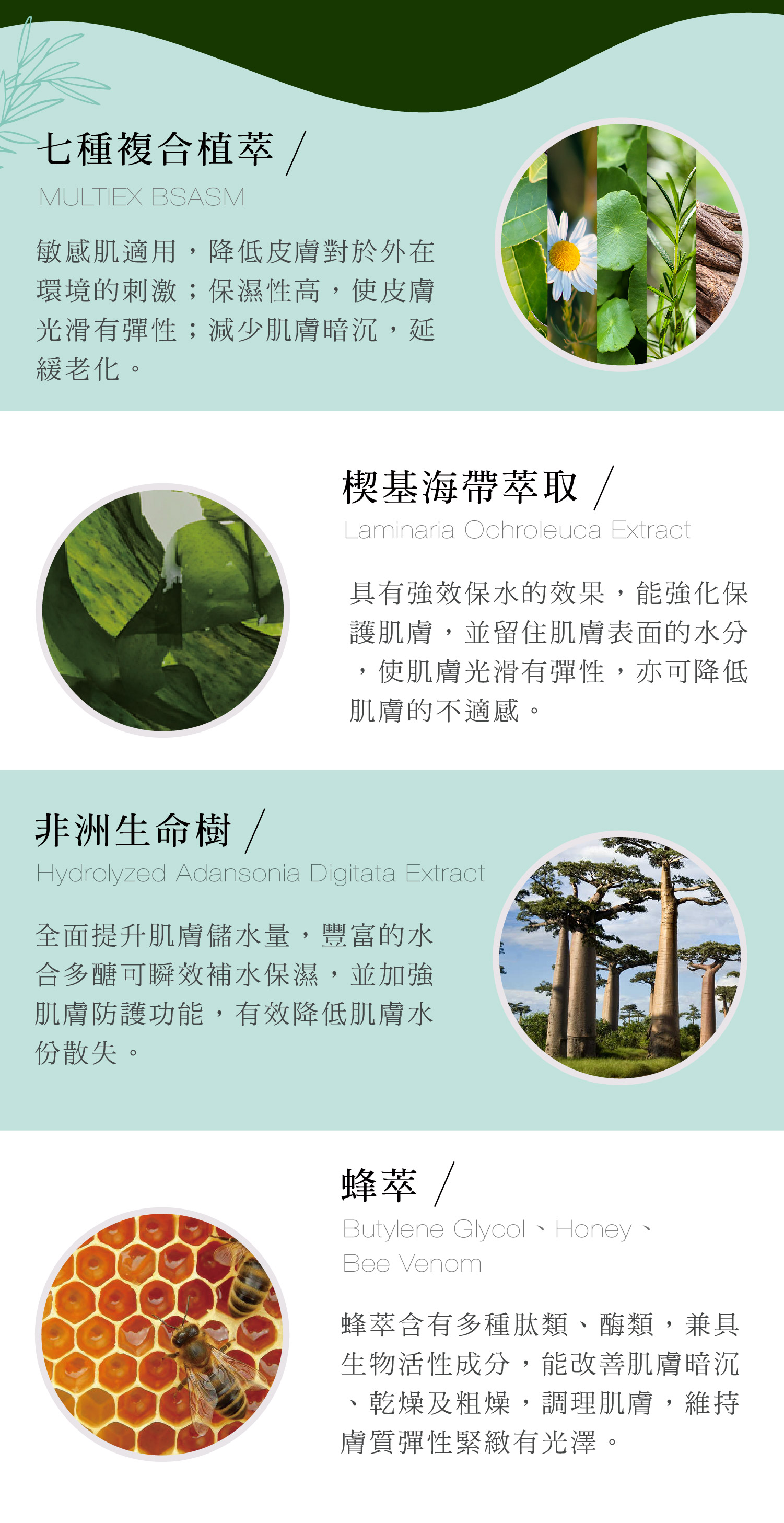 多種專利植物萃取原料為基礎，完成肌膚綜合所需。柔漾全能乳液 - VIYA'S薇亞絲專業保養品
