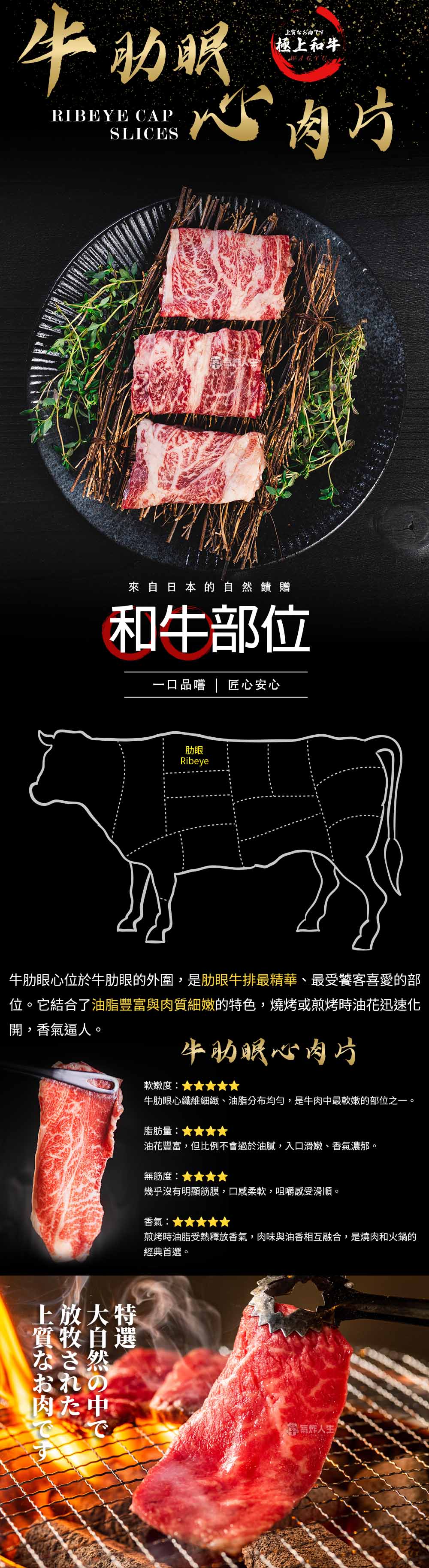 日本A5和牛-氣炸人生