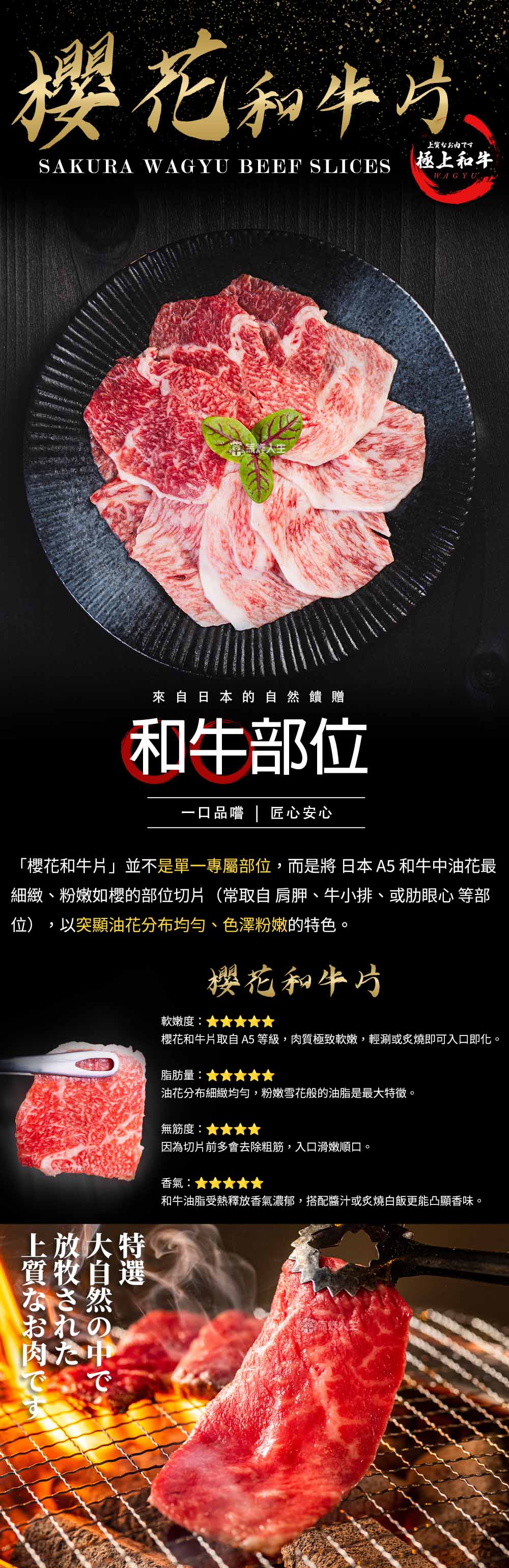 日本A5和牛-氣炸人生