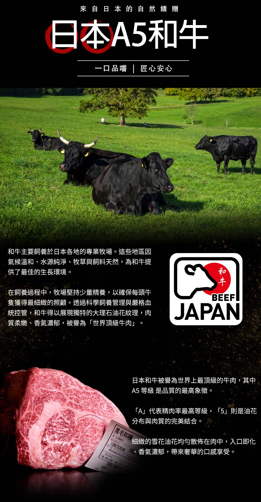 日本A5和牛-氣炸人生