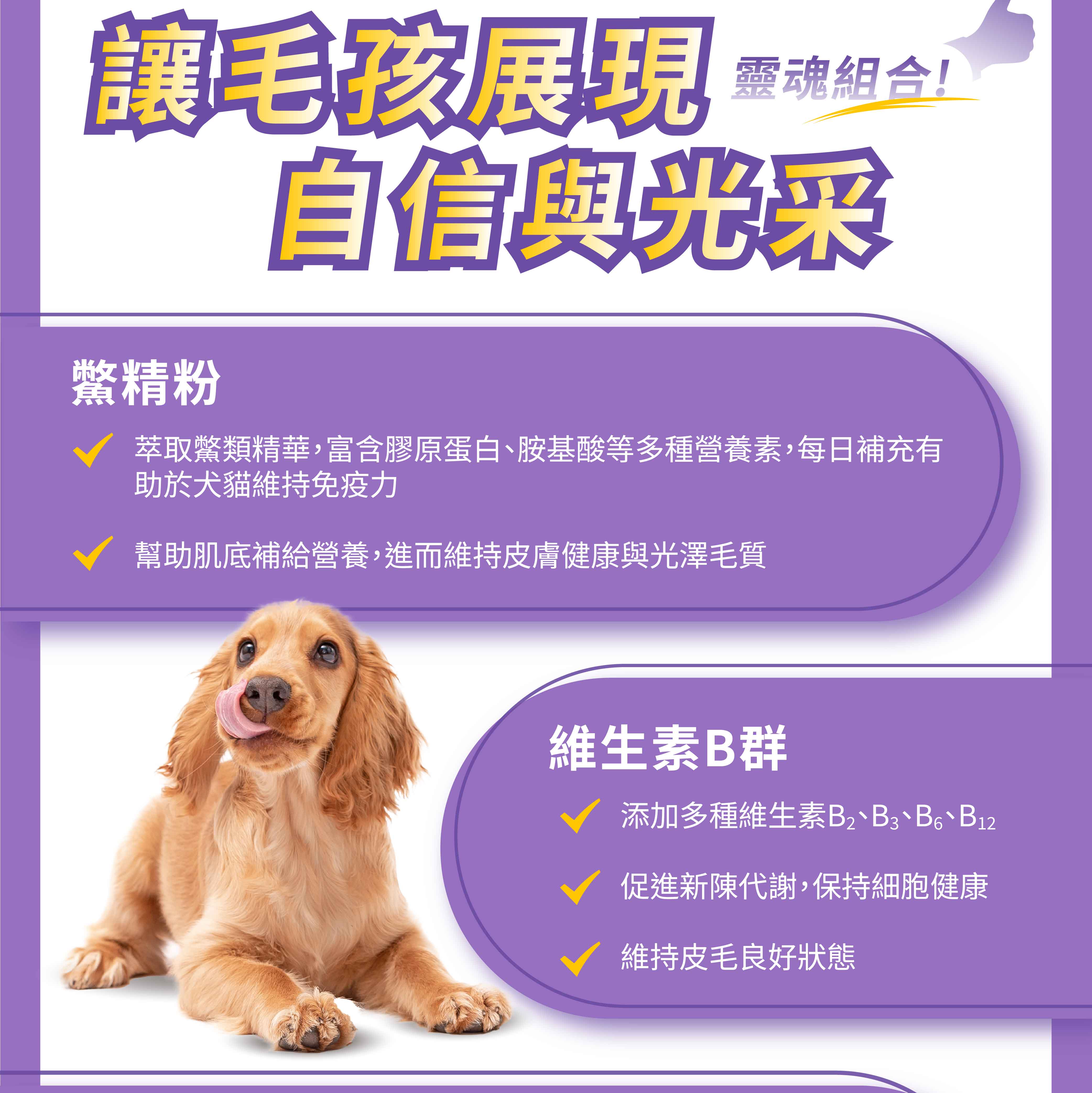 讓毛孩展現靈魂組合!精粉自信光采萃取鱉類精華富含膠原蛋白胺基酸等多種營養素,每日補充有犬貓維持免疫力幫助肌底補給營養,進而維持皮膚健康與光澤毛質維生素B群添加多種維生素B2、B12促進新陳代謝,保持細胞健康維持皮毛良好狀態